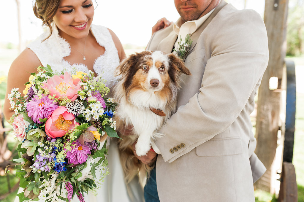 Dog Ring Bearers - Iowa Farm Wedding - Private Estate Weddings