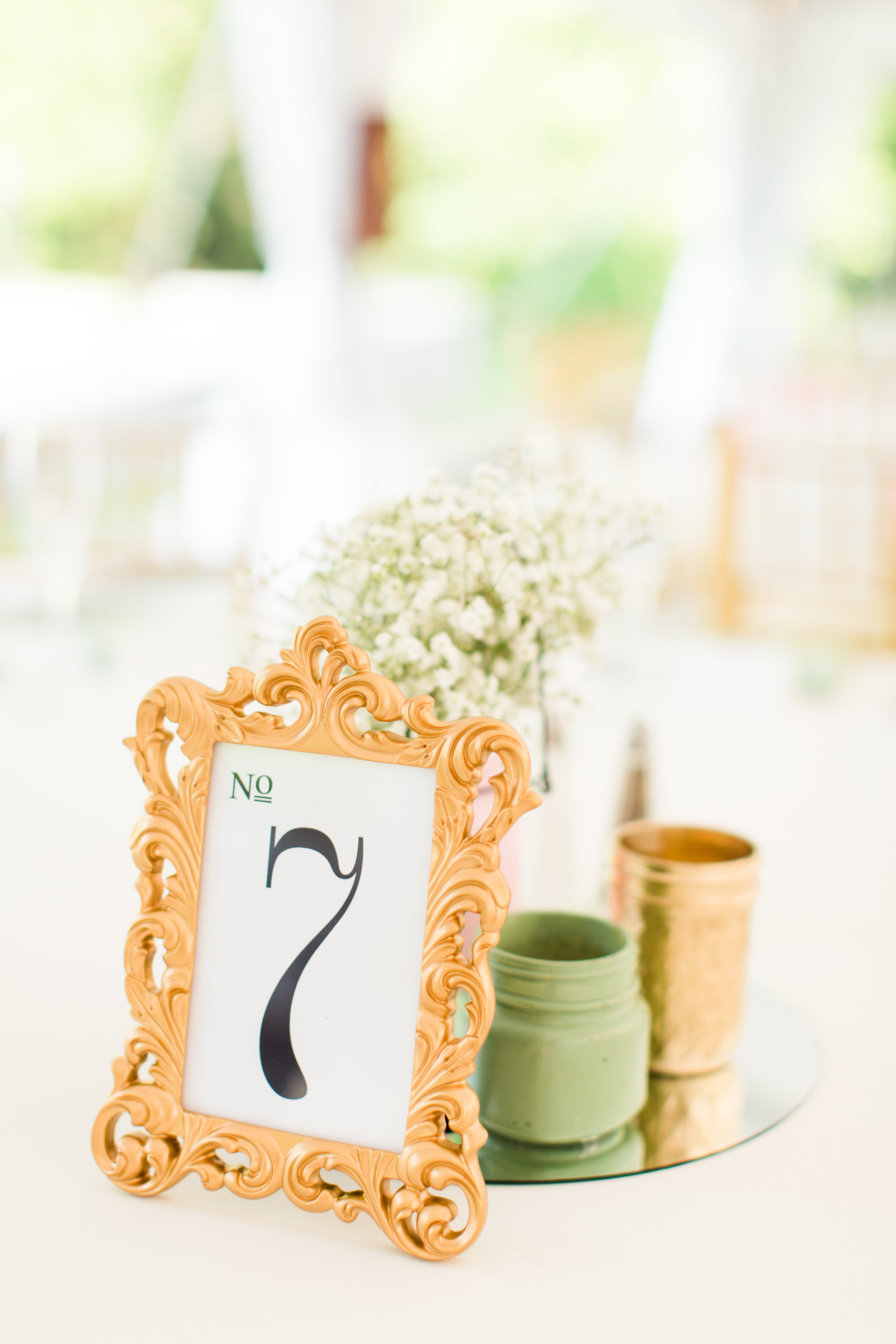 Gorgeous Tent Wedding Receptions - West Virginia Wedding Photographer - Wedding Venue