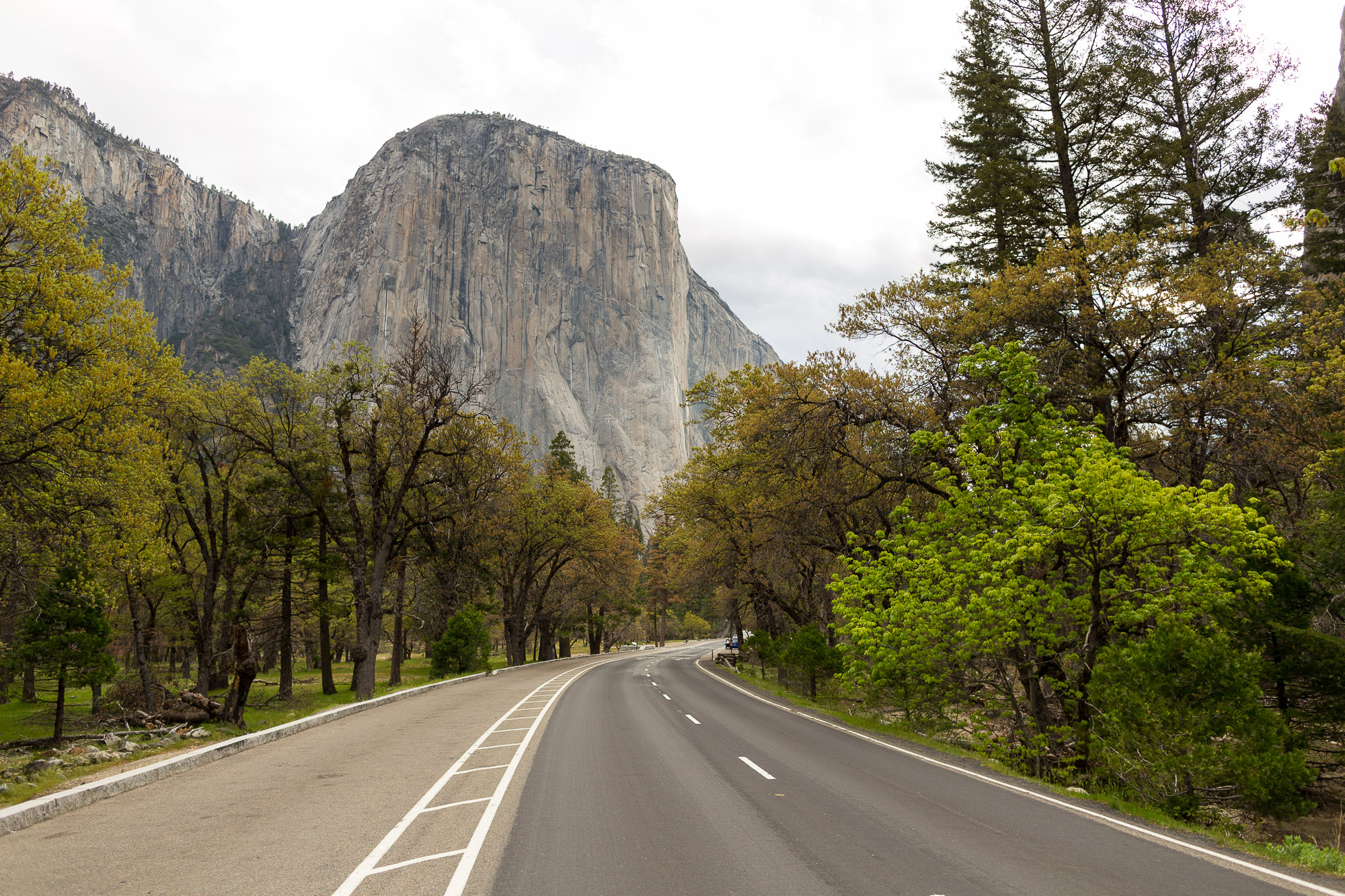 A Springtime Yosemite Wedding