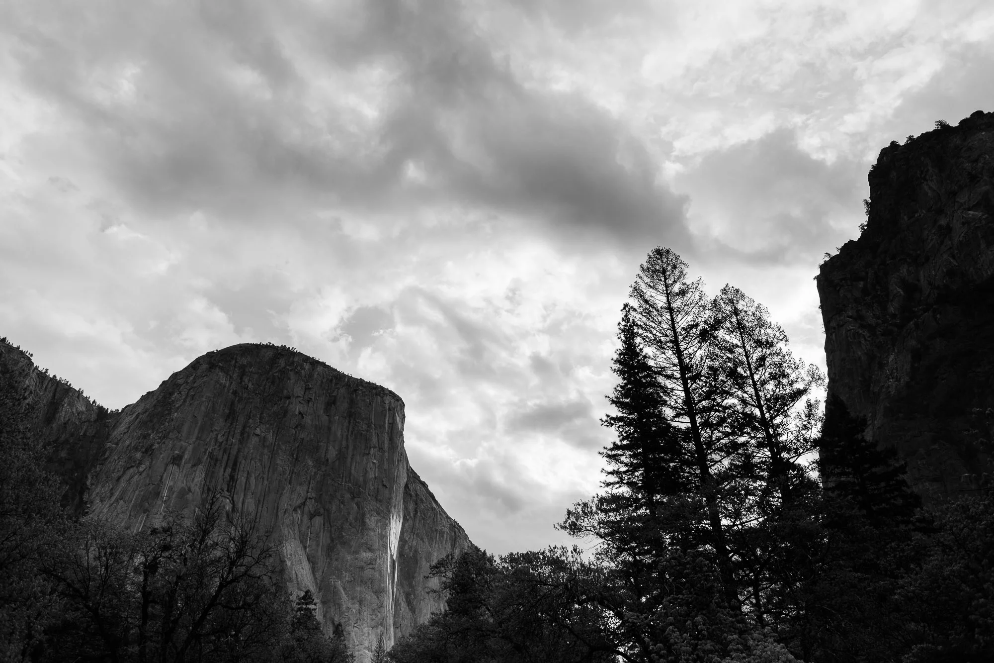 A Springtime Yosemite Wedding