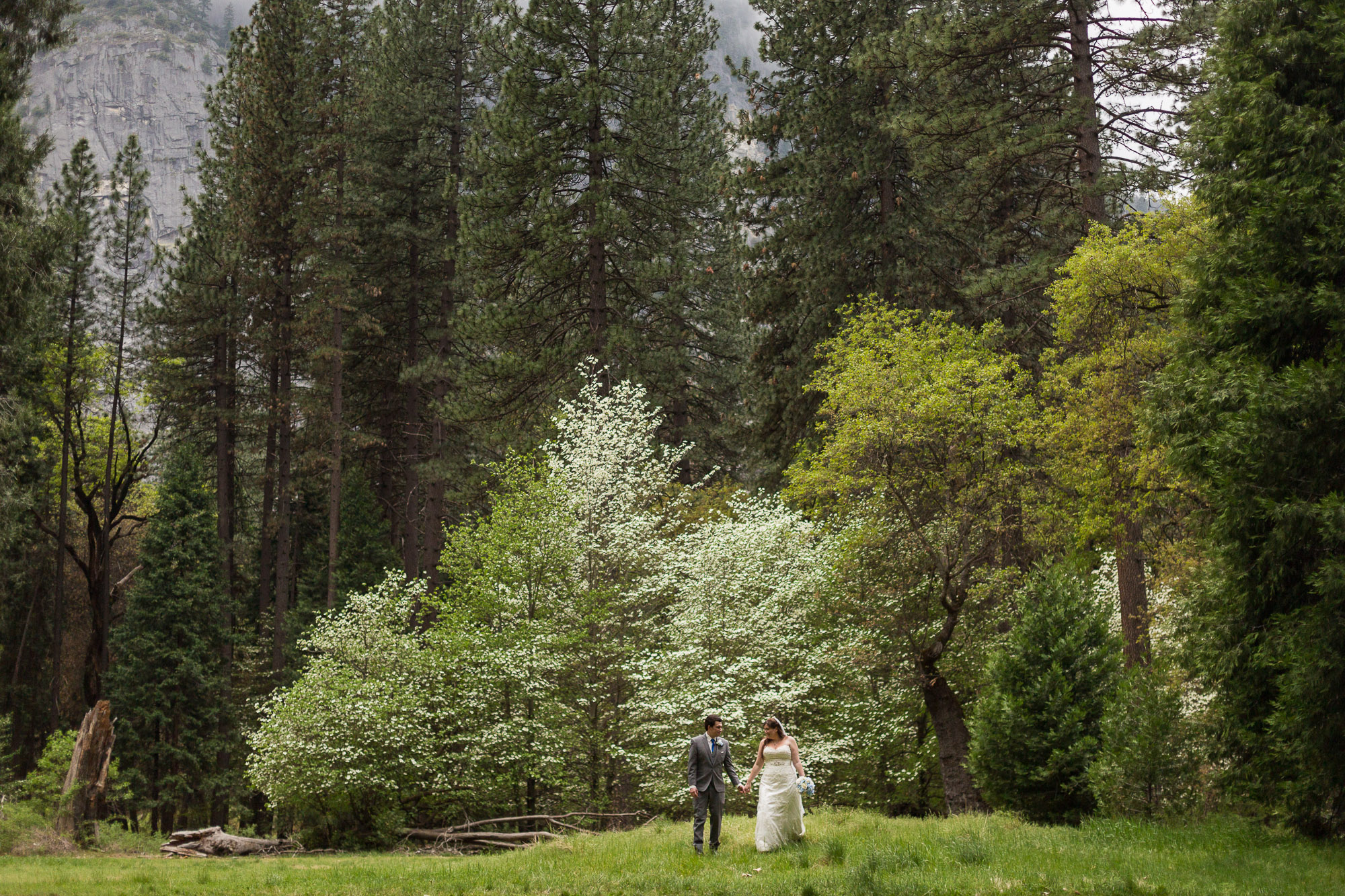 Gorgeous Wedding Photos - Gorgeous Yosemite Wedding Venues