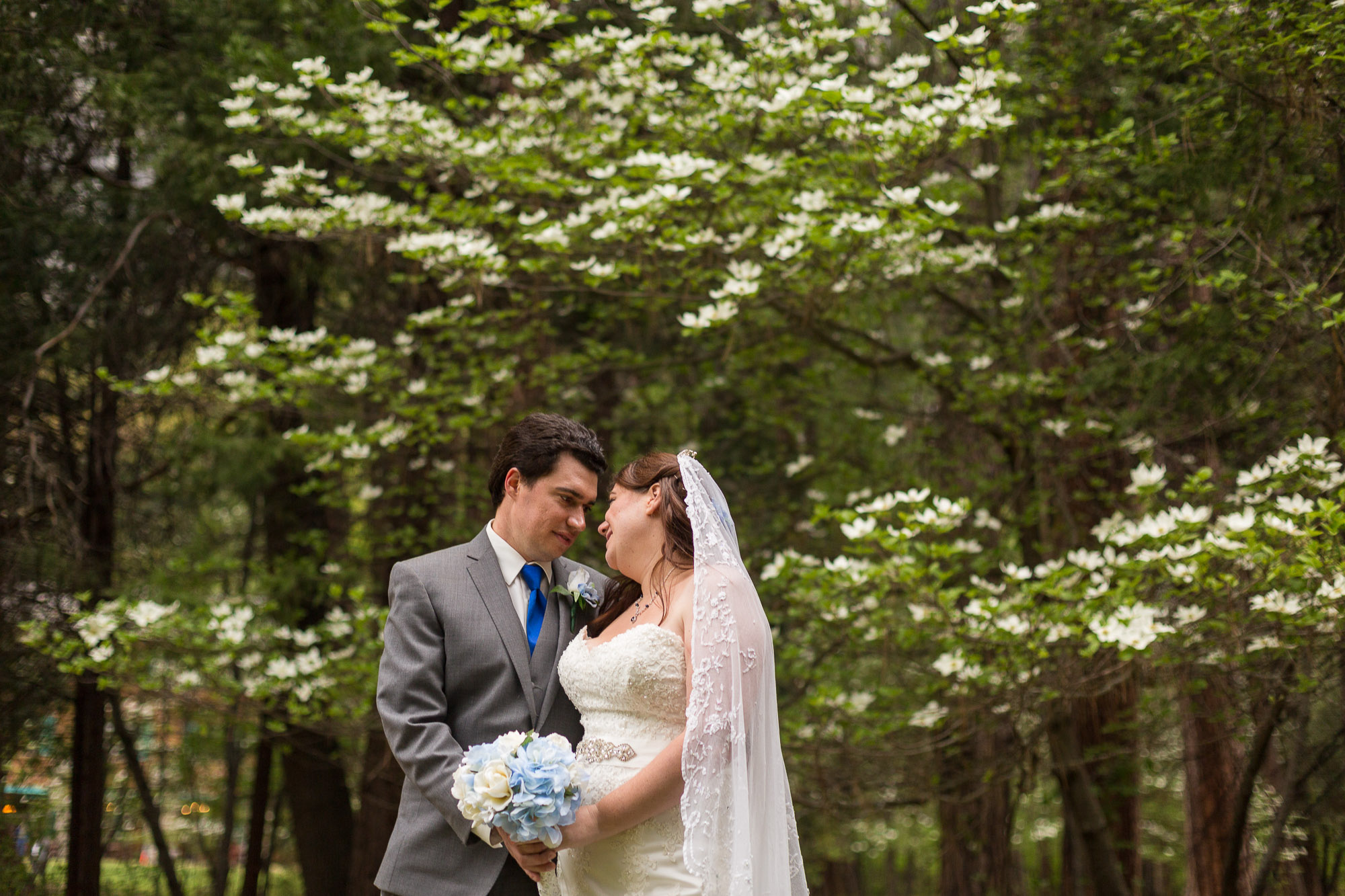 Gorgeous Wedding Photos - Gorgeous Yosemite Wedding Venues