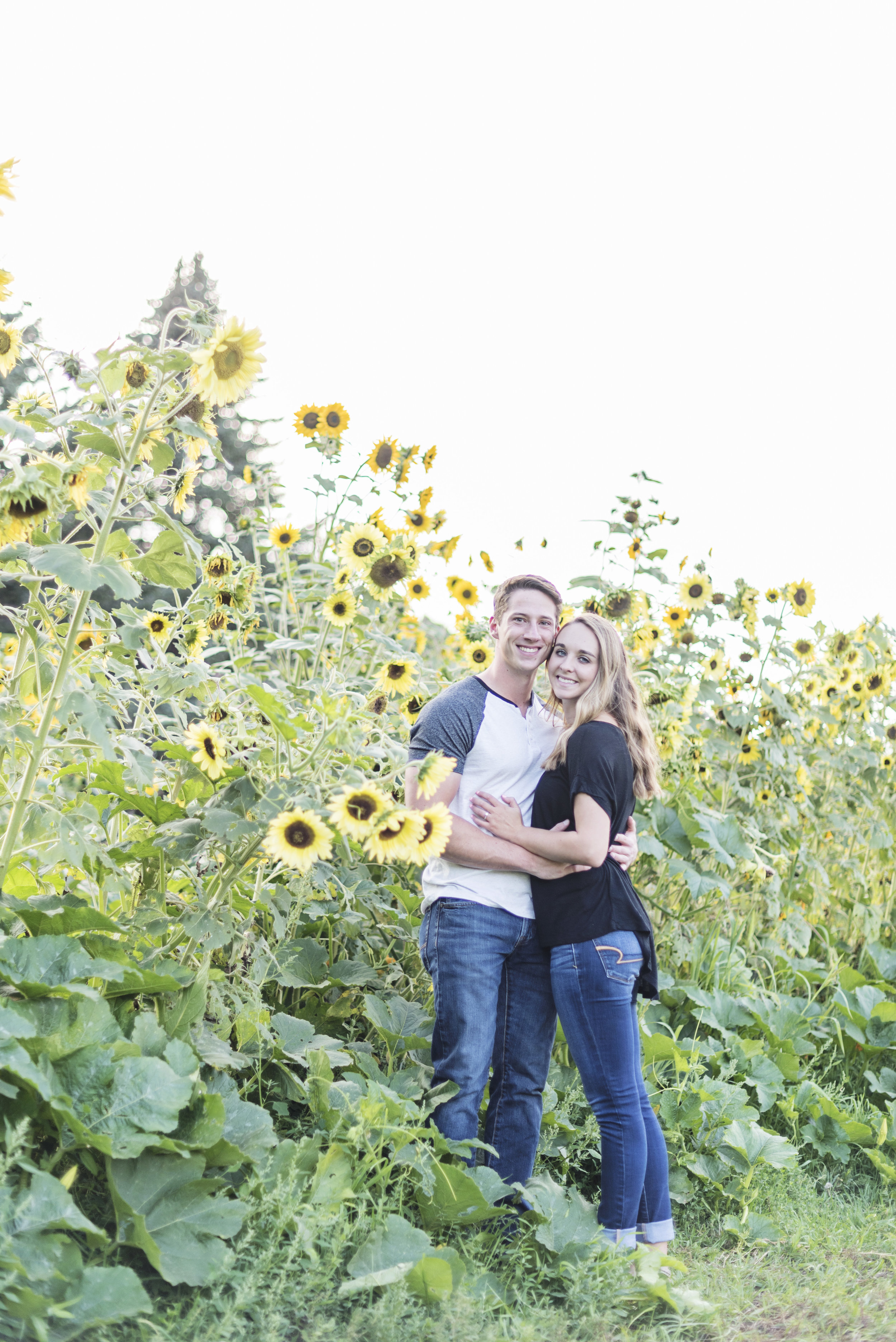 Rock Ledge Ranch Engagement Photos - Colorado Springs Engagement Photos Locations