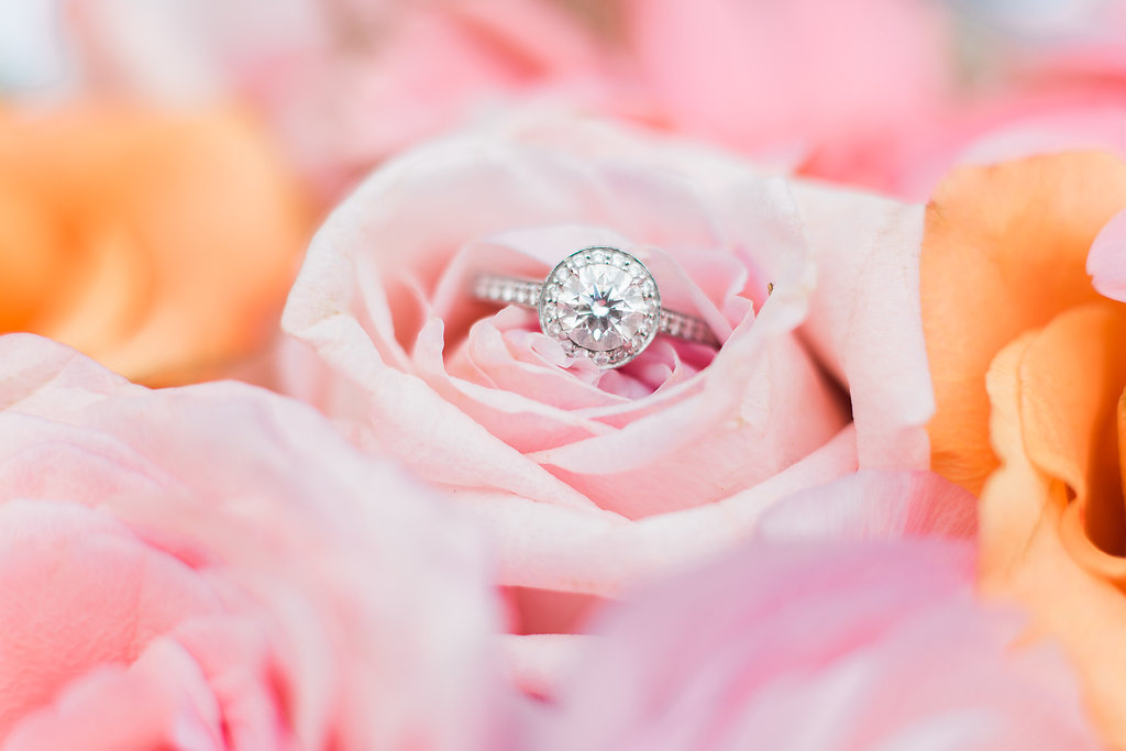 Round Halo Engagement Ring - Elina Rose Studios Tampa Wedding Photographer