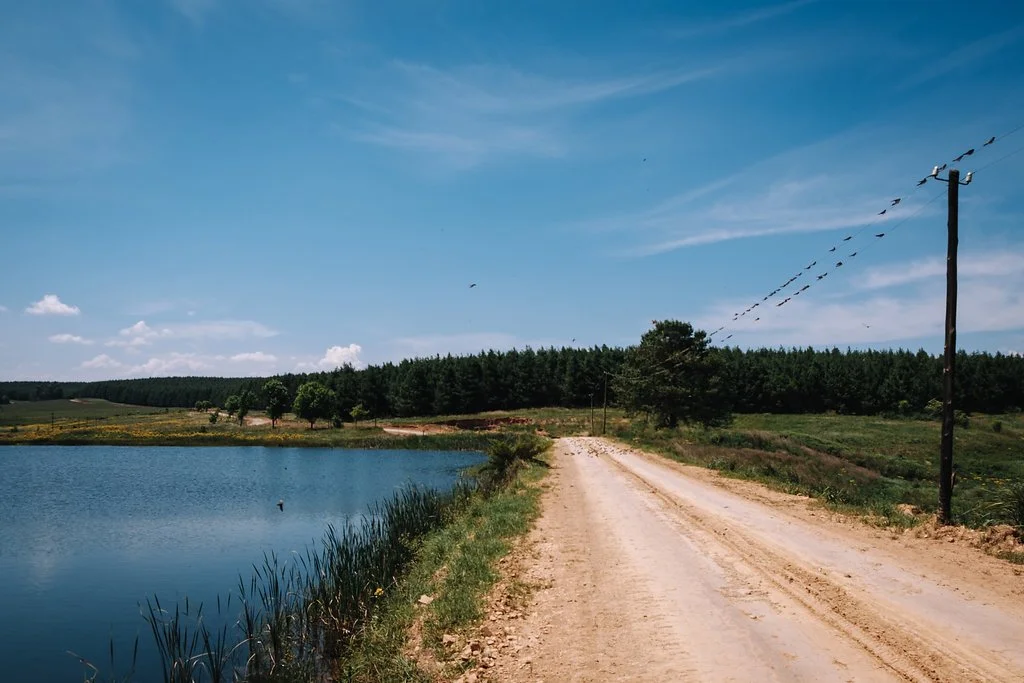 Farm-Forest Wedding - The Overwhelmed Bride Wedding Blog