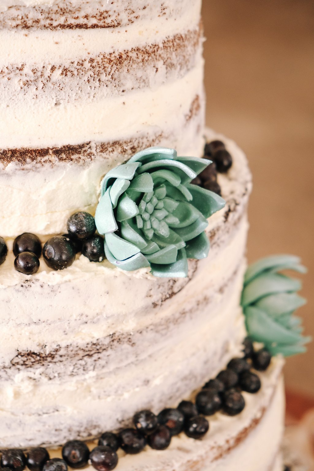 Gorgeous Naked Wedding Cake - Farm-Forest Wedding - The Overwhelmed Bride Wedding Blog