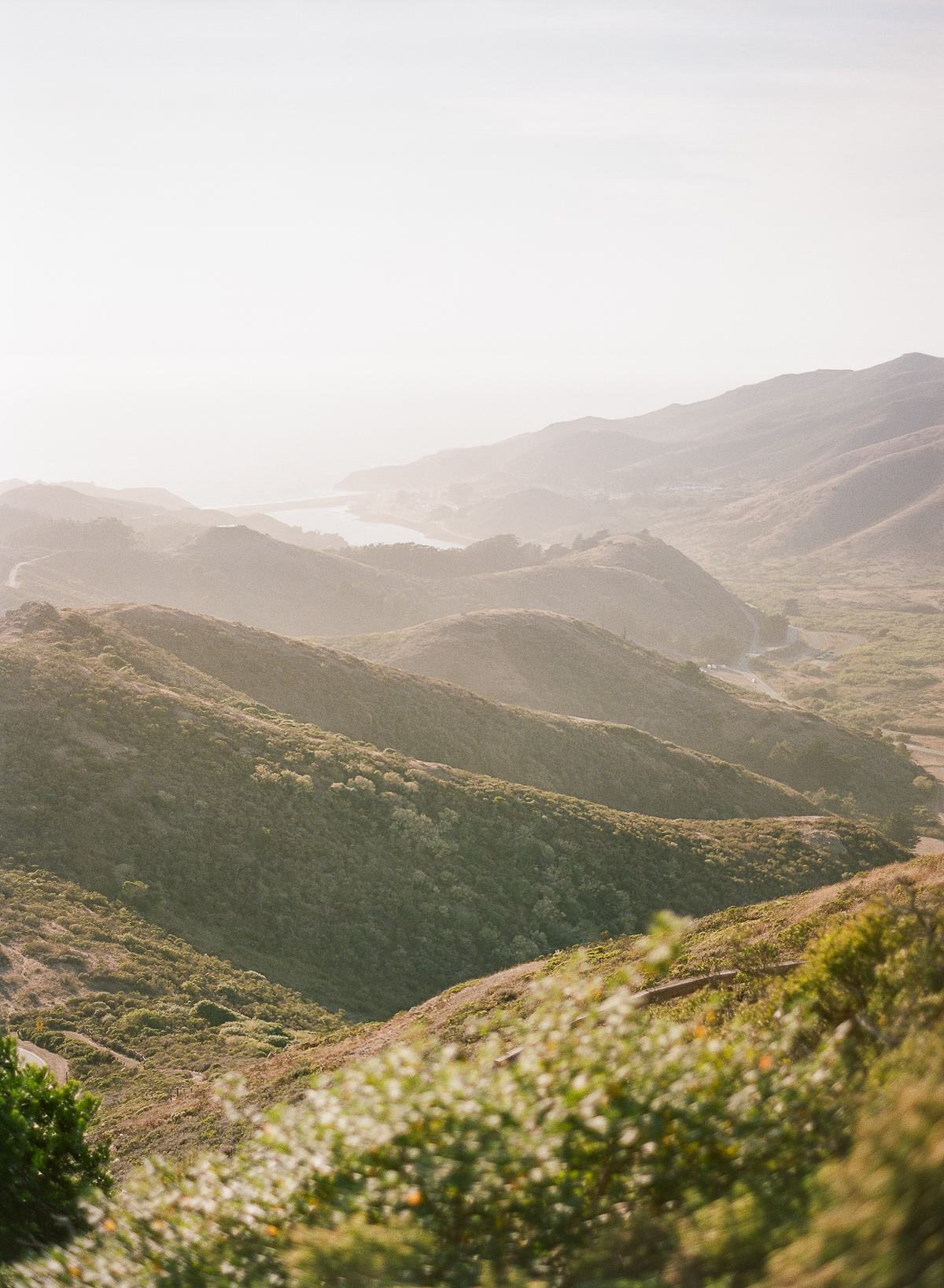 Marin Headlands Engagement Photos — The Overwhelmed Bride Wedding Blog