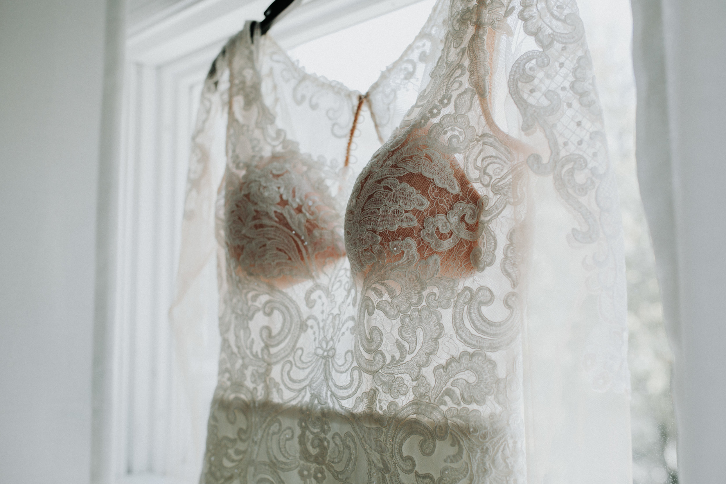 Gorgeous Lace Wedding Dress - Dara’s Garden Knoxville East Tennessee Wedding — The Overwhelmed Bride Wedding Blog