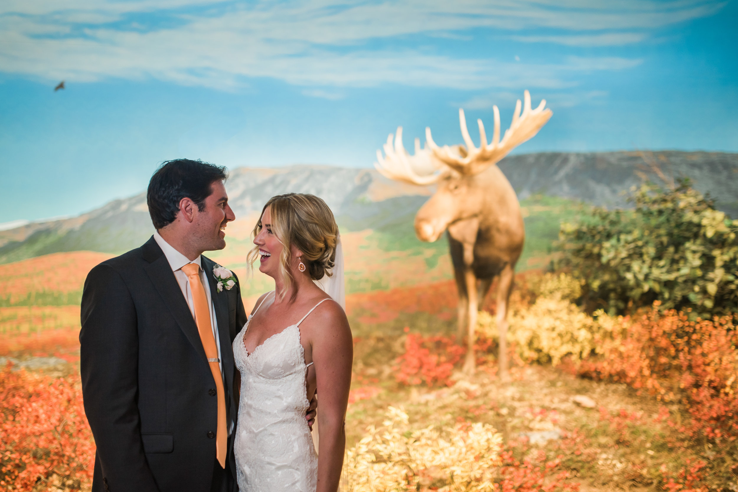 Denver Museum of Nature and Science Wedding - The Overwhelmed Bride Wedding Blog