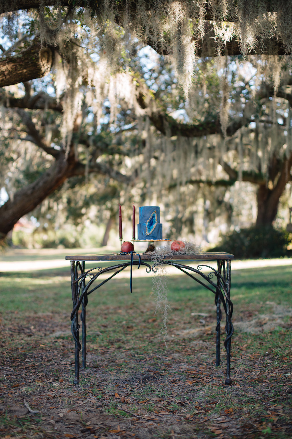 A Jewel-Toned Vintage Plantation Wedding — The Overwhelmed Bride Wedding Blog