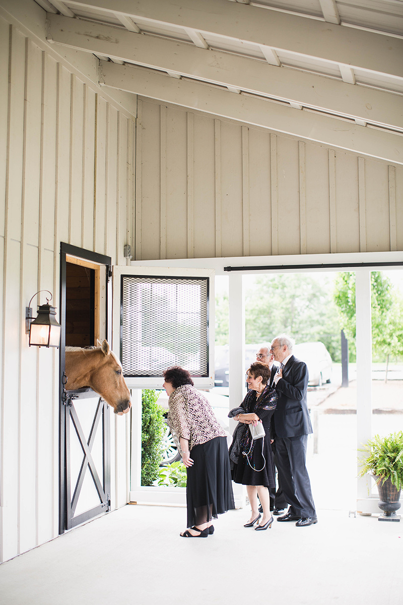 A Blush + White Shadow Creek Virgina Wedding — The Overwhelmed Bride Wedding Blog