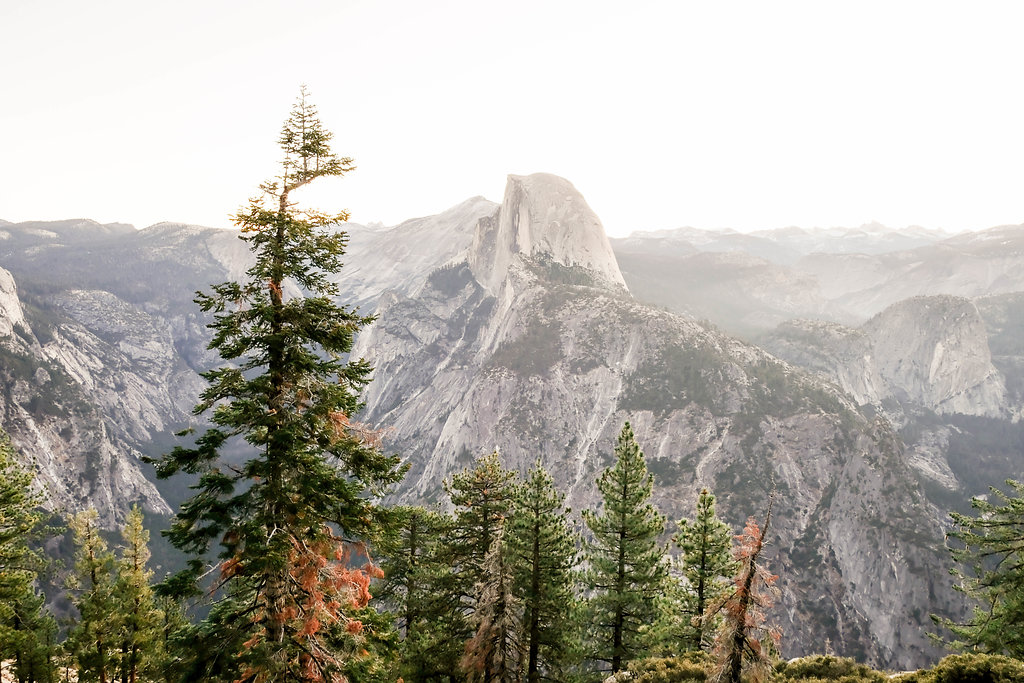 Yosemite Engagement Photos — The Overwhelmed Bride Wedding Blog