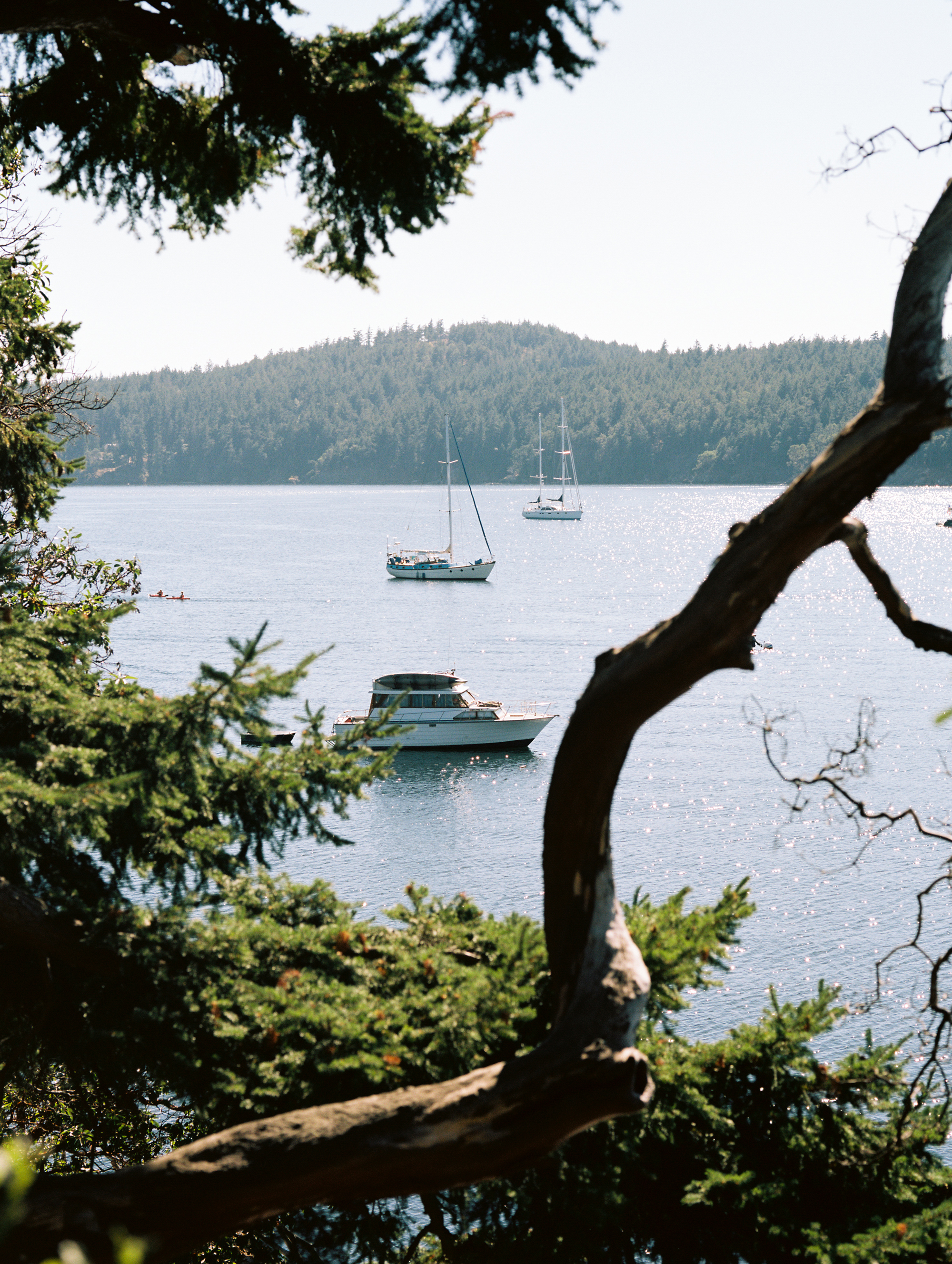 Plum Burgundy Wedding — San Juan Islands Wedding Oddfellows Hall — The Overwhelmed Bride Wedding Blog