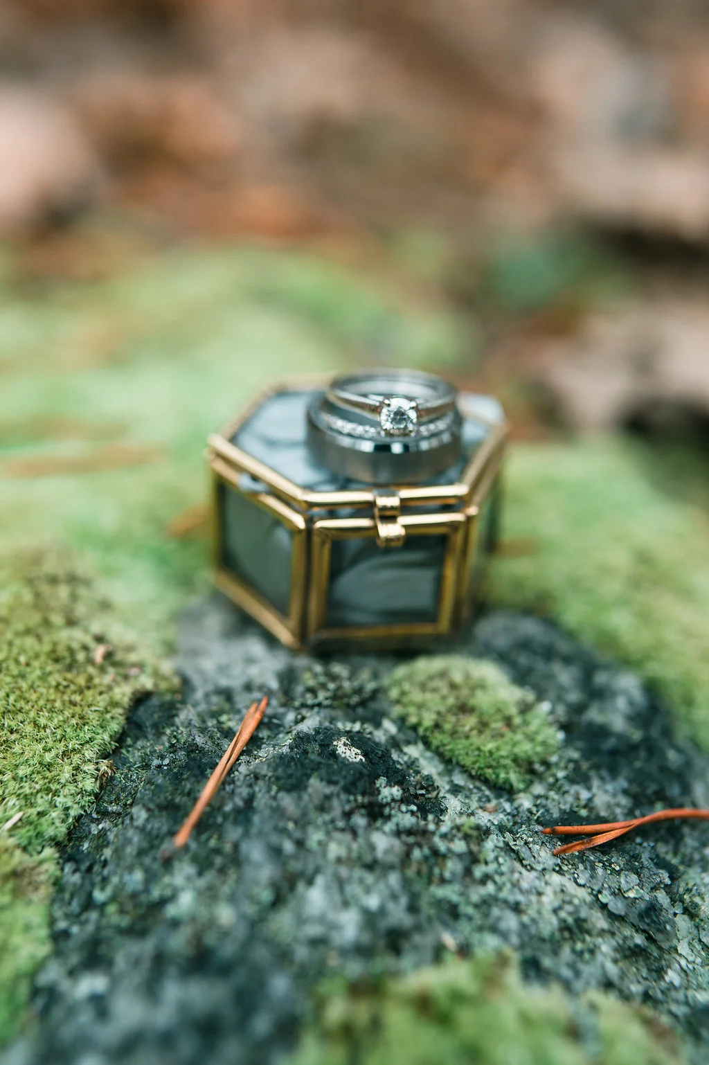 A North Georgia Outdoor Elopement - The Overwhelmed Bride Wedding Blog