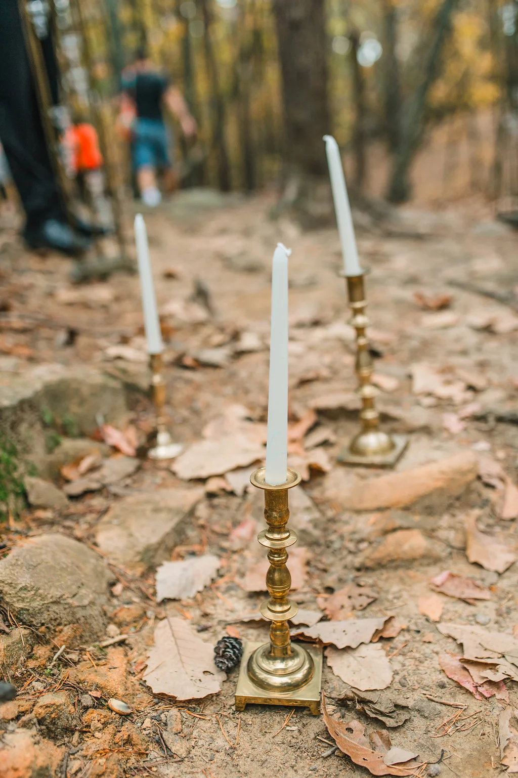 A North Georgia Outdoor Elopement - The Overwhelmed Bride Wedding Blog