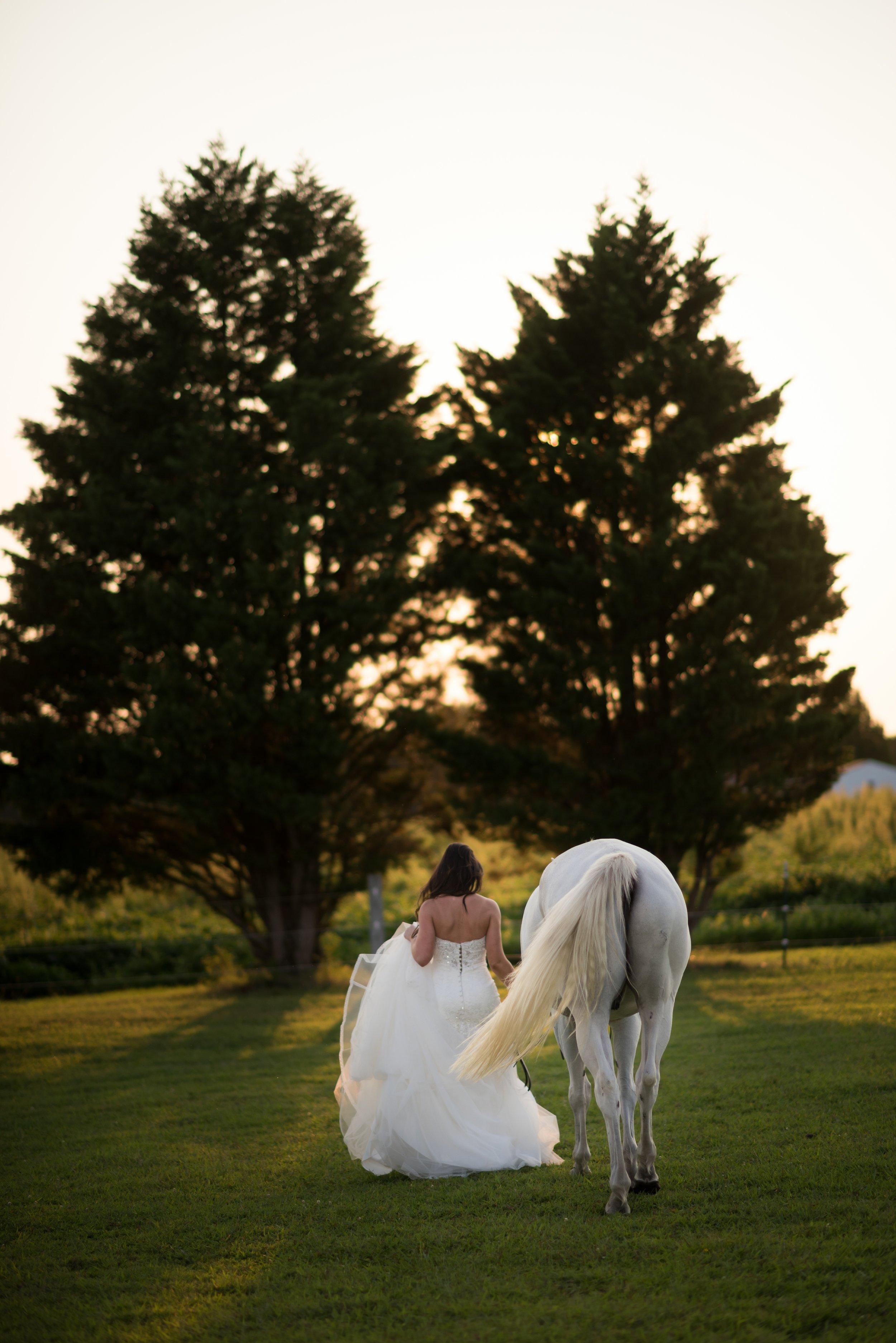 A Nashville, North Carolina Plantation Wedding - The Overwhelmed Bride Wedding Blog