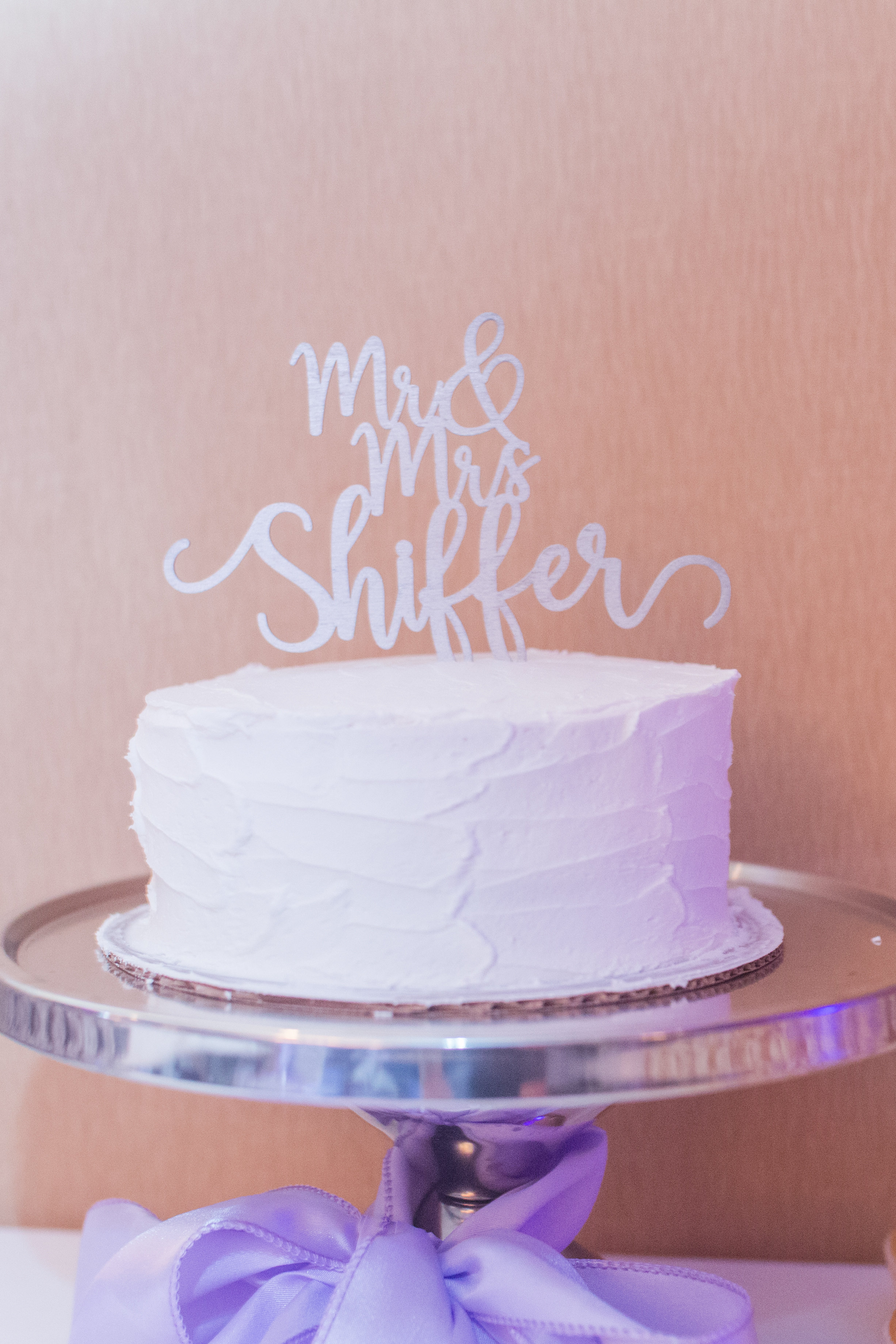 A White + Lilac Romantic Wisconsin Wedding - The Overwhelmed Bride Wedding Blog