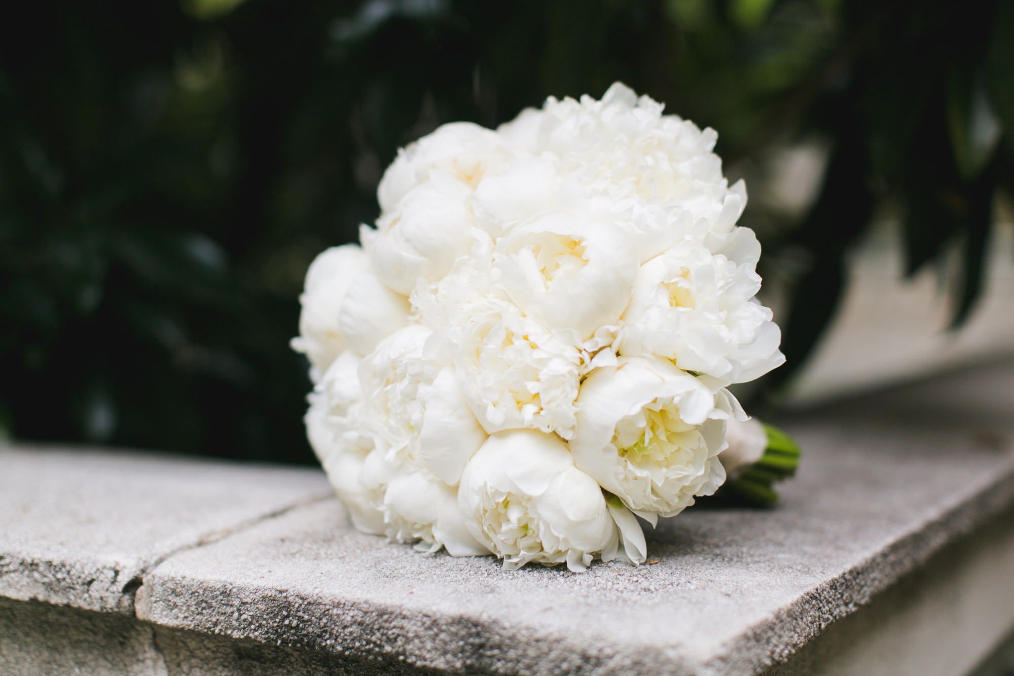 An Ivory + White Downtown Dallas Wedding - The Overwhelmed Bride Wedding Blog