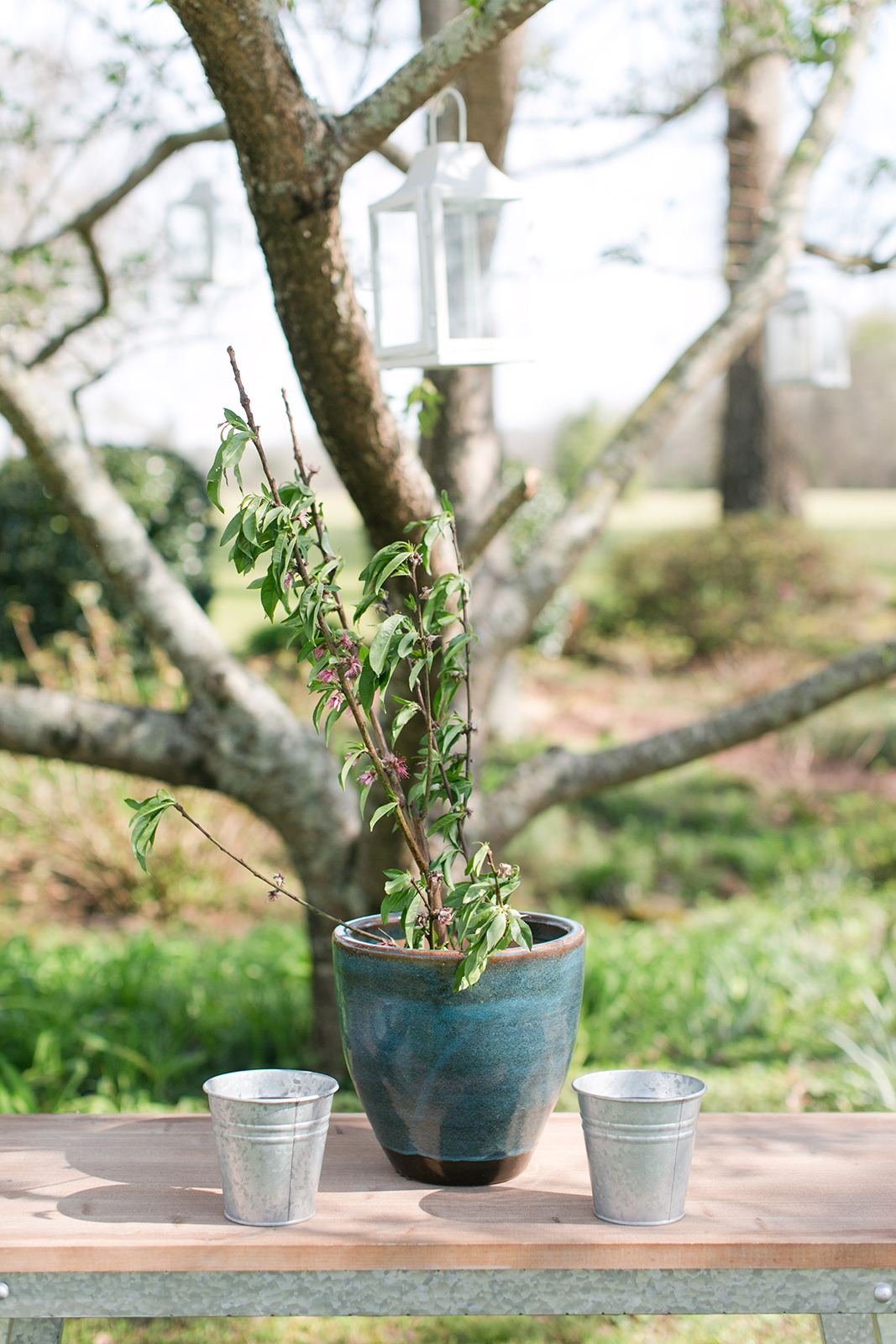 A Garden Georgia Wedding - The Venue at Tryphena’s Garden - The Overwhelmed Bride Wedding Blog