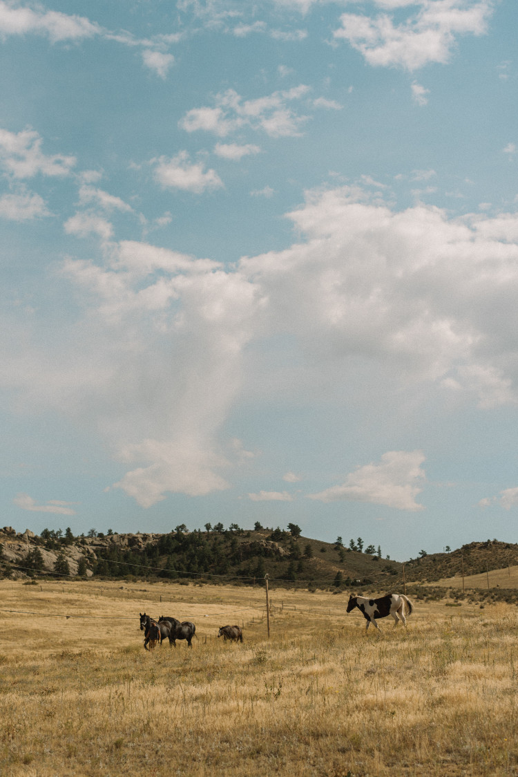 An Eagles Nest Ranch Outdoor Colorado Wedding - The Overwhelmed Bride Wedding Blog