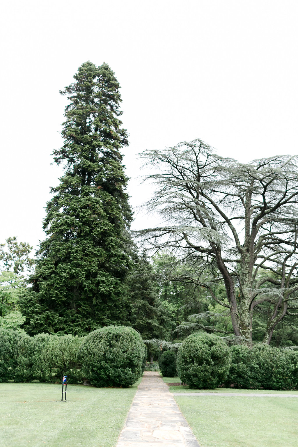 A Classic Rust Manor House Virginia Wedding - The Overwhelmed Bride Wedding Blog