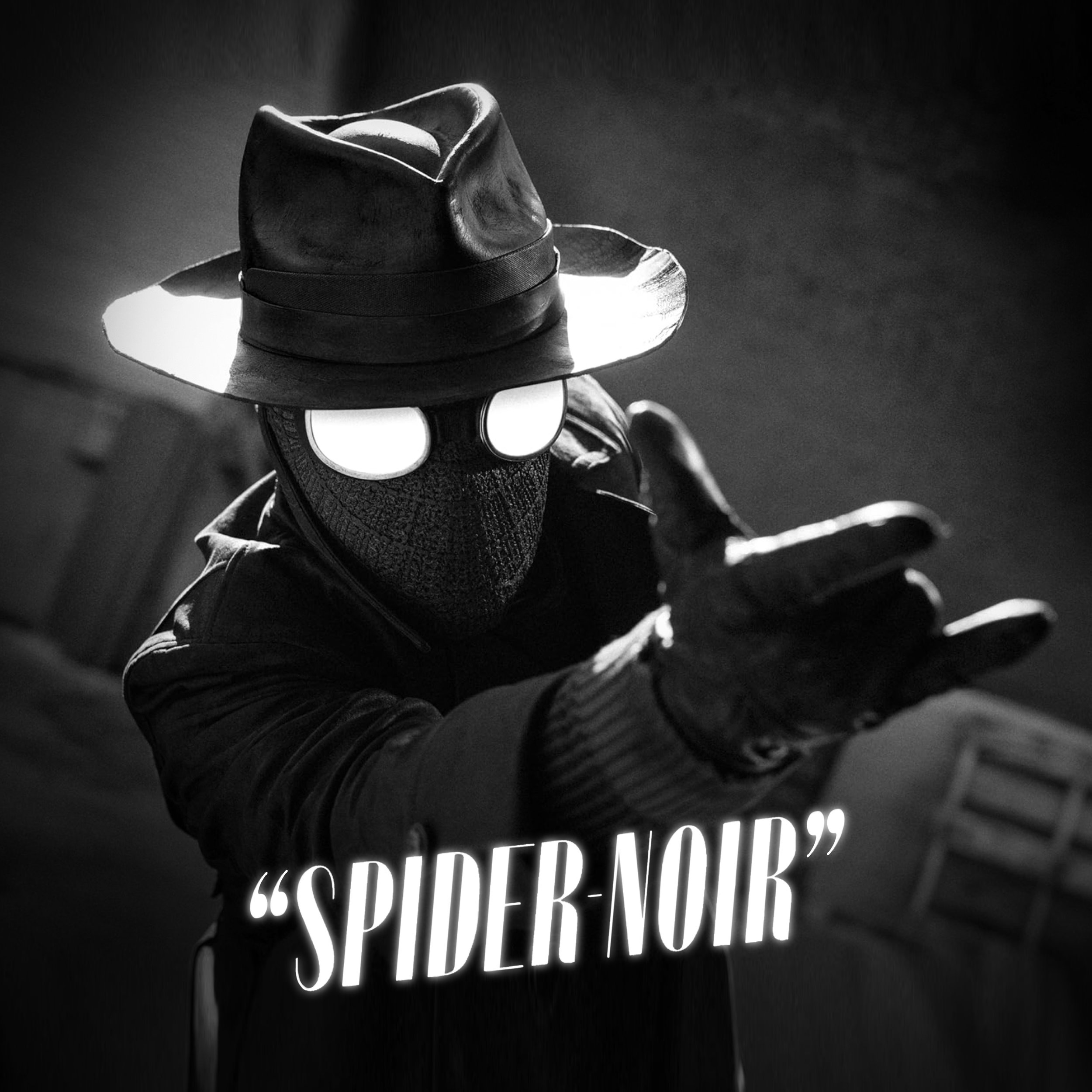 WEB SPIDER NOIR.jpg