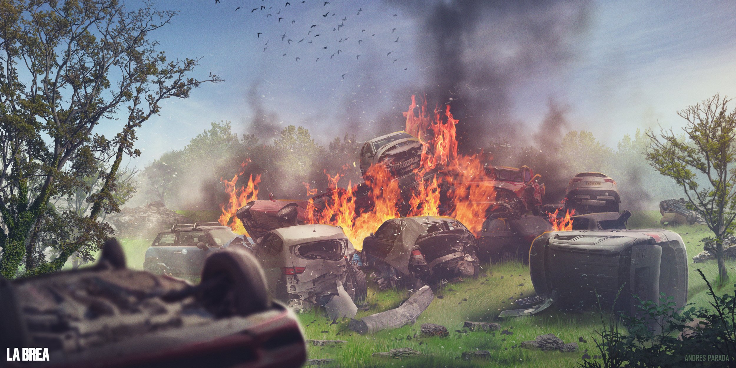 LABREA_CAR-PILE_1_4.jpg