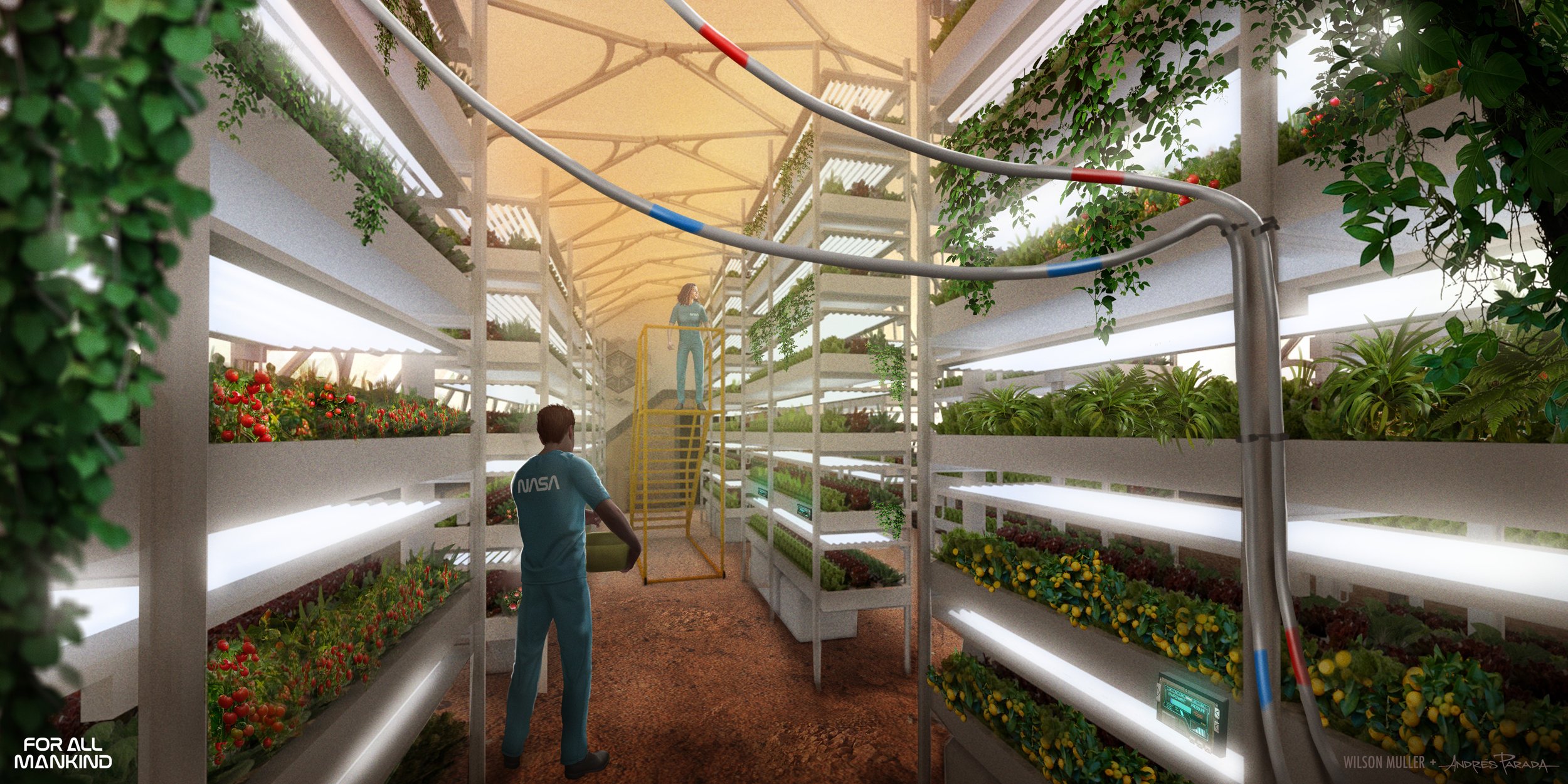 FAM_Greenhouse_View 3_AP_2022-04-06_WIP_2.jpg