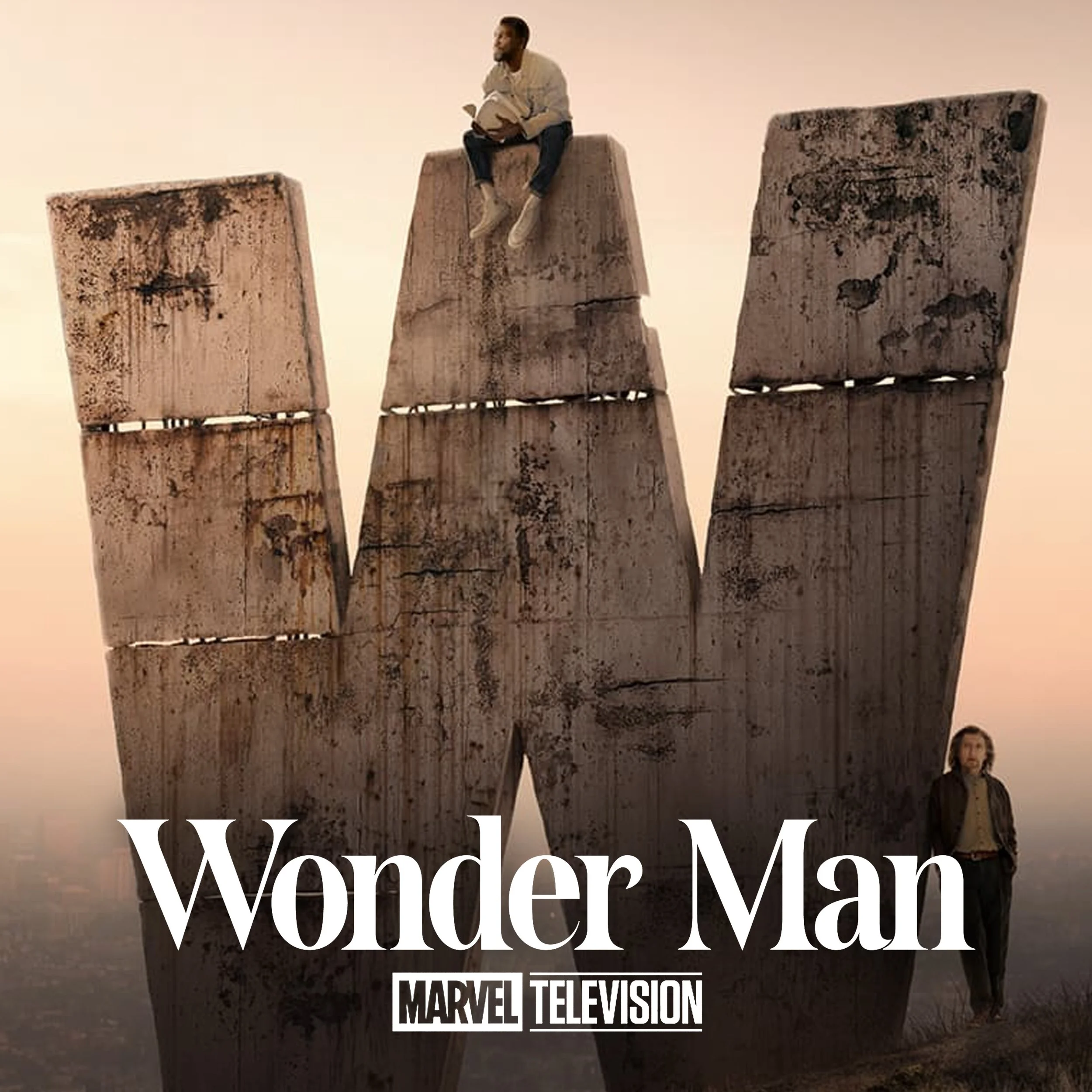 WEB WONDER MAN.jpg
