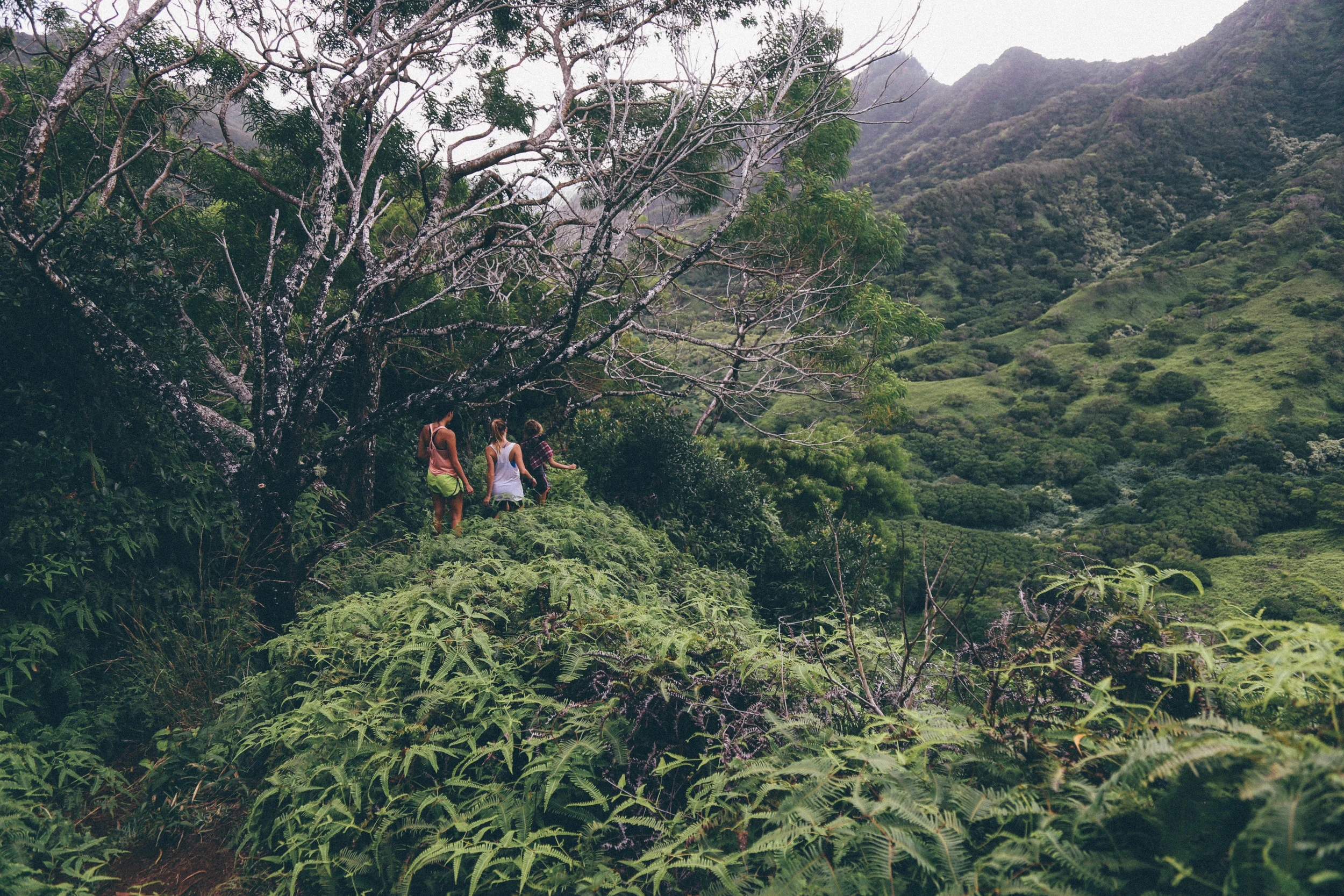 hike-46.jpg