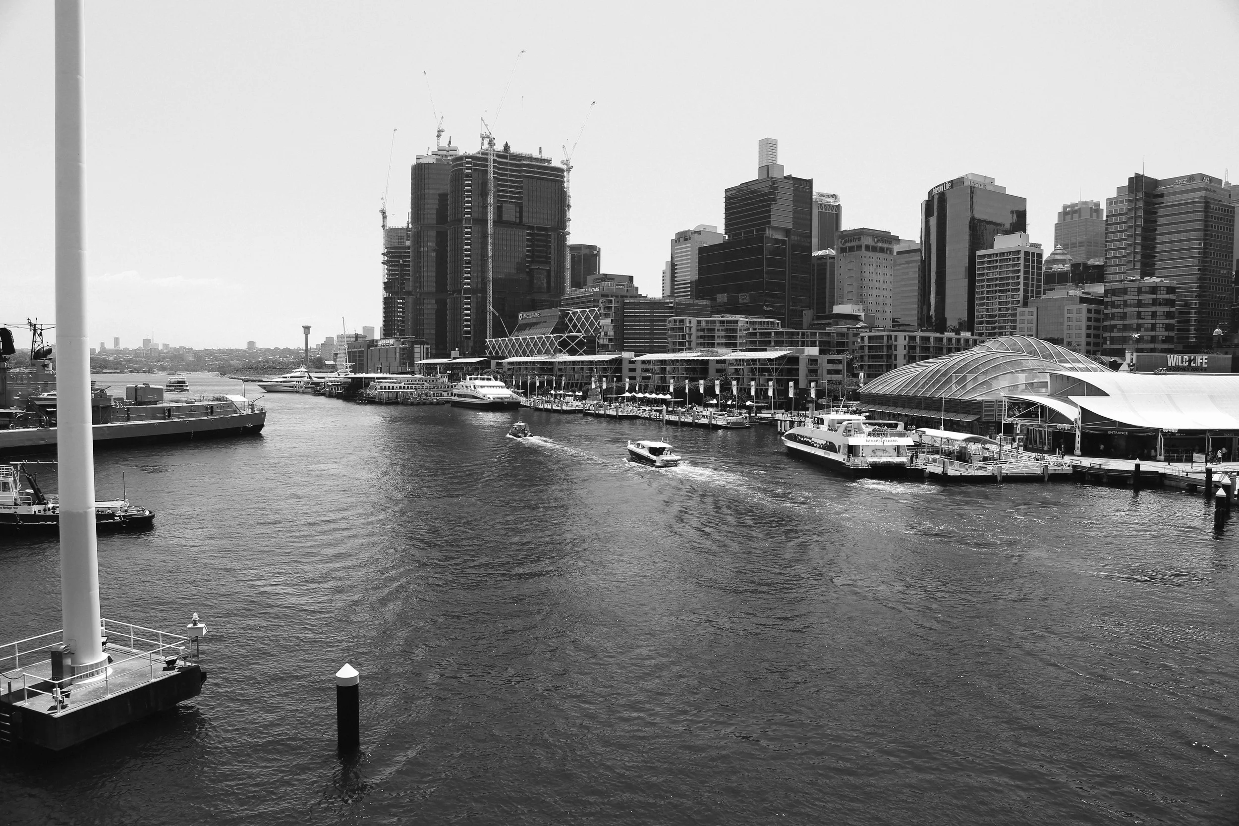 sydney-89.jpg