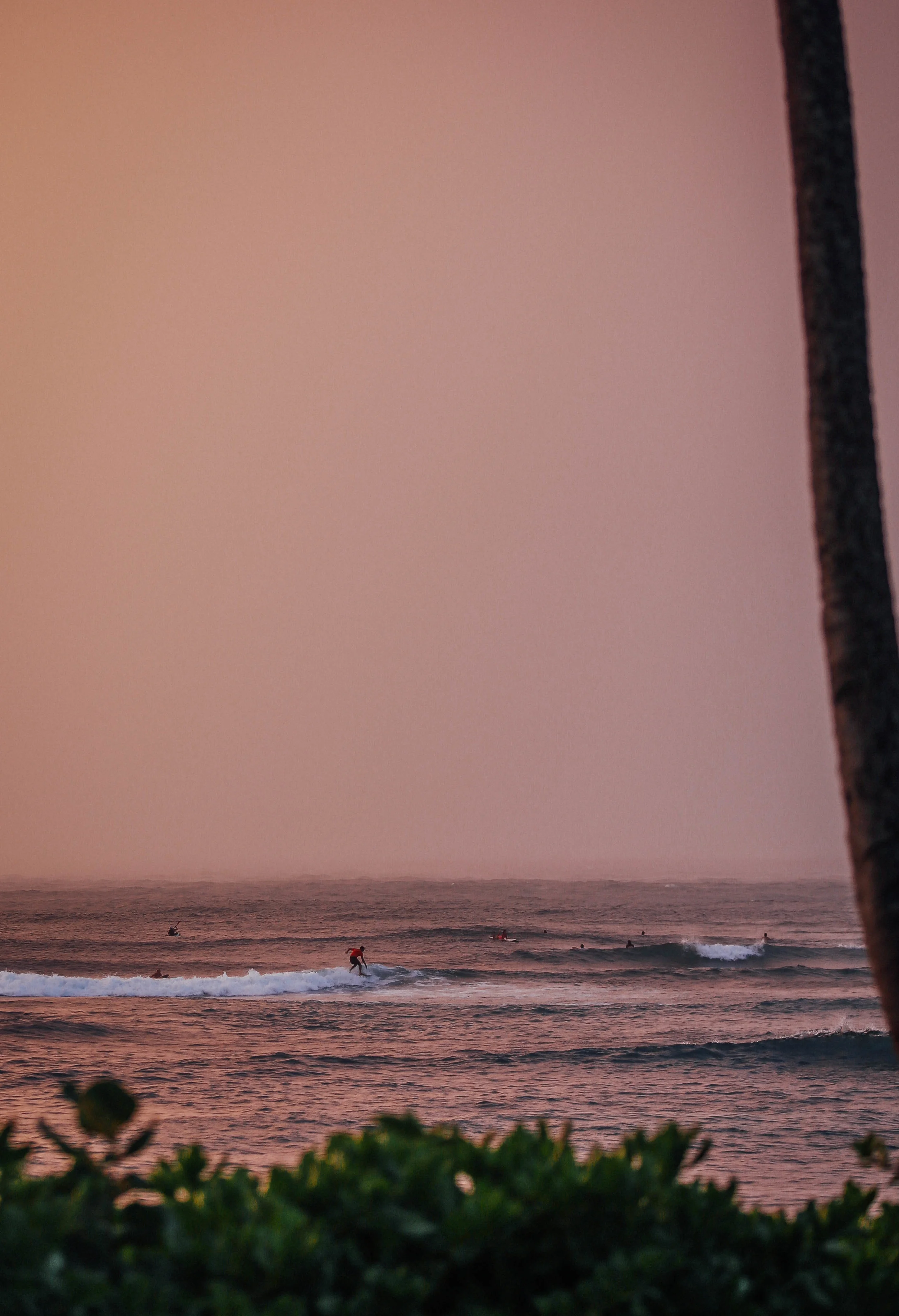 tbay sunset-4.jpg