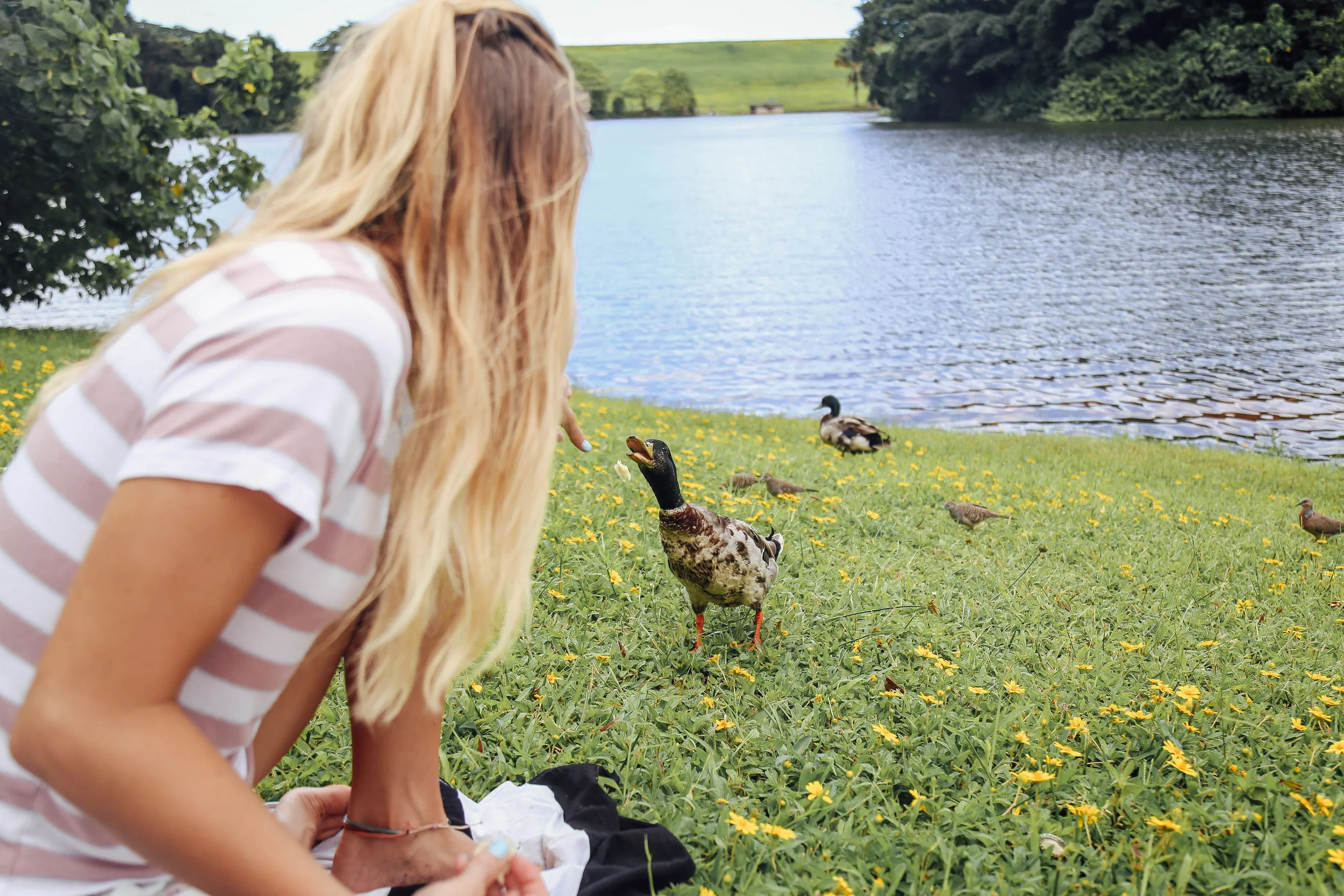 picnic-10.jpg