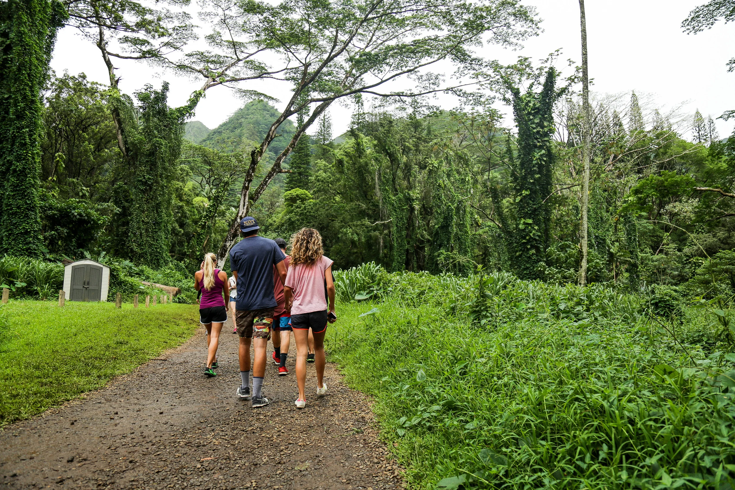 manoa_falls-2.jpg