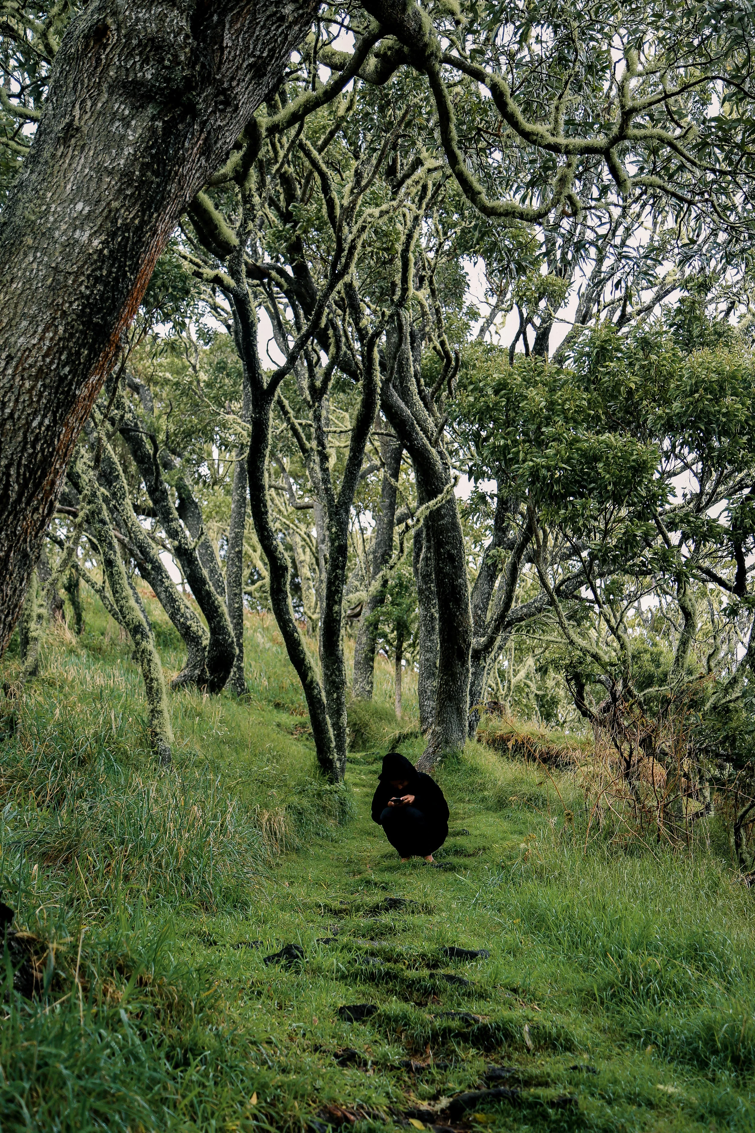 Naturewalk-12.jpg