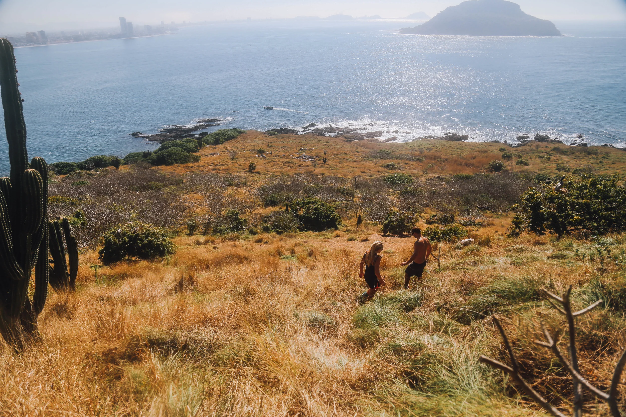 Bird_Island_Mazatlan-24.jpg