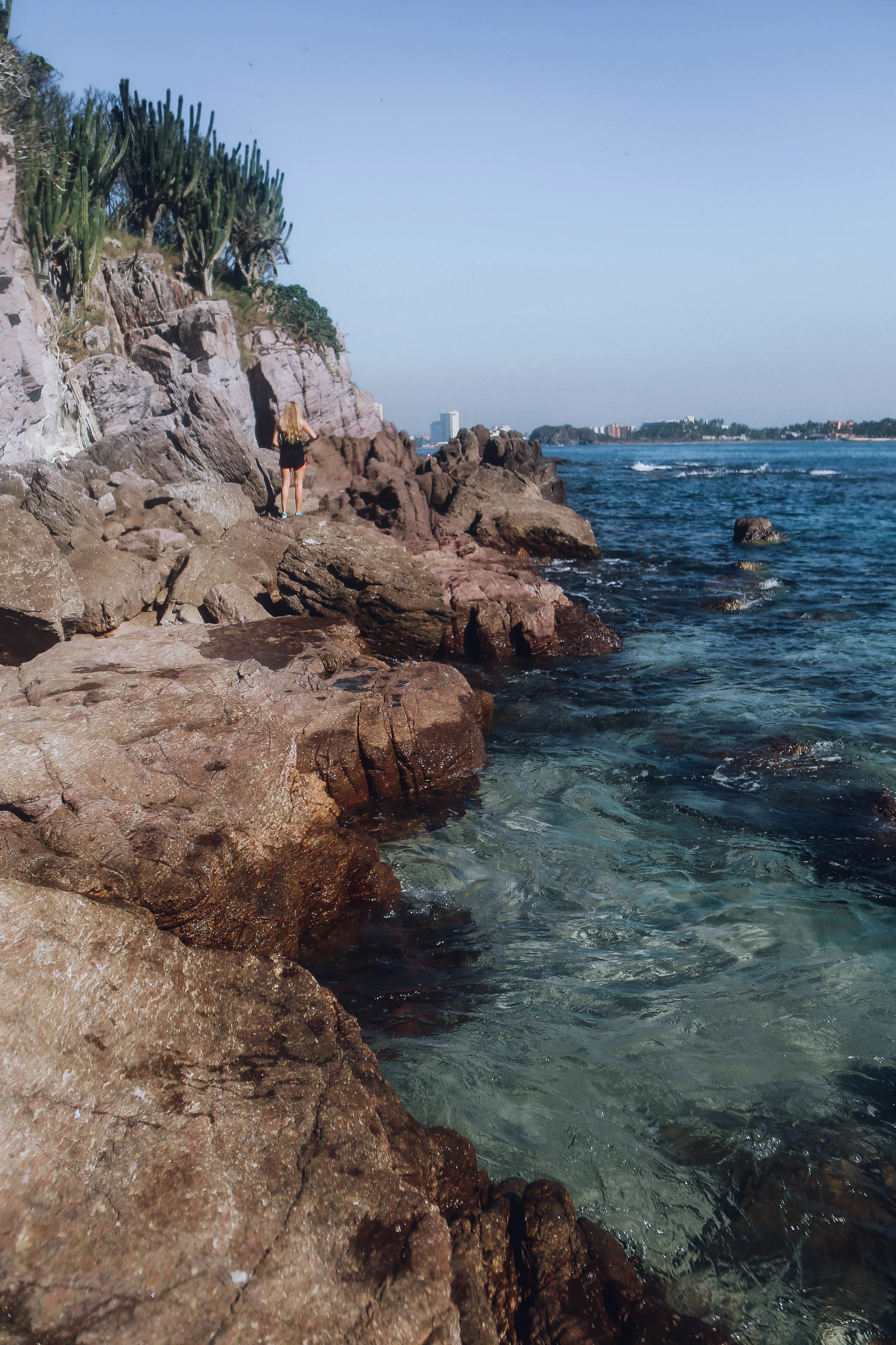 Bird_Island_Mazatlan-48.jpg