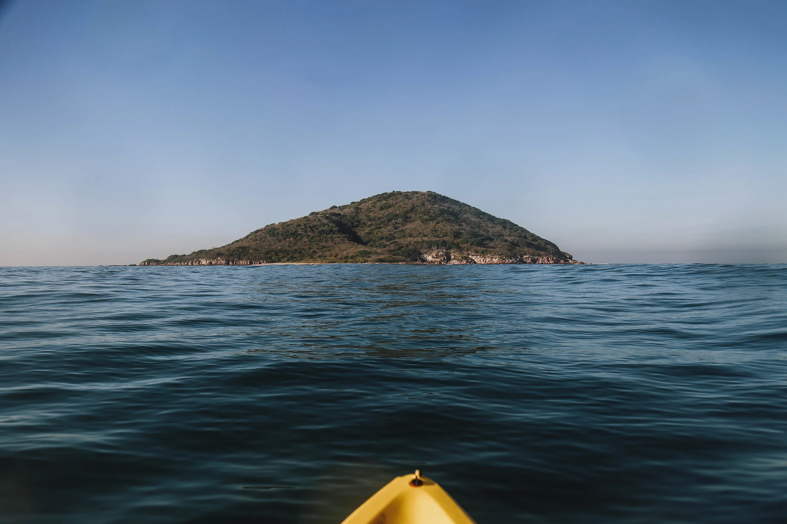 Bird_Island_Mazatlan-68.jpg