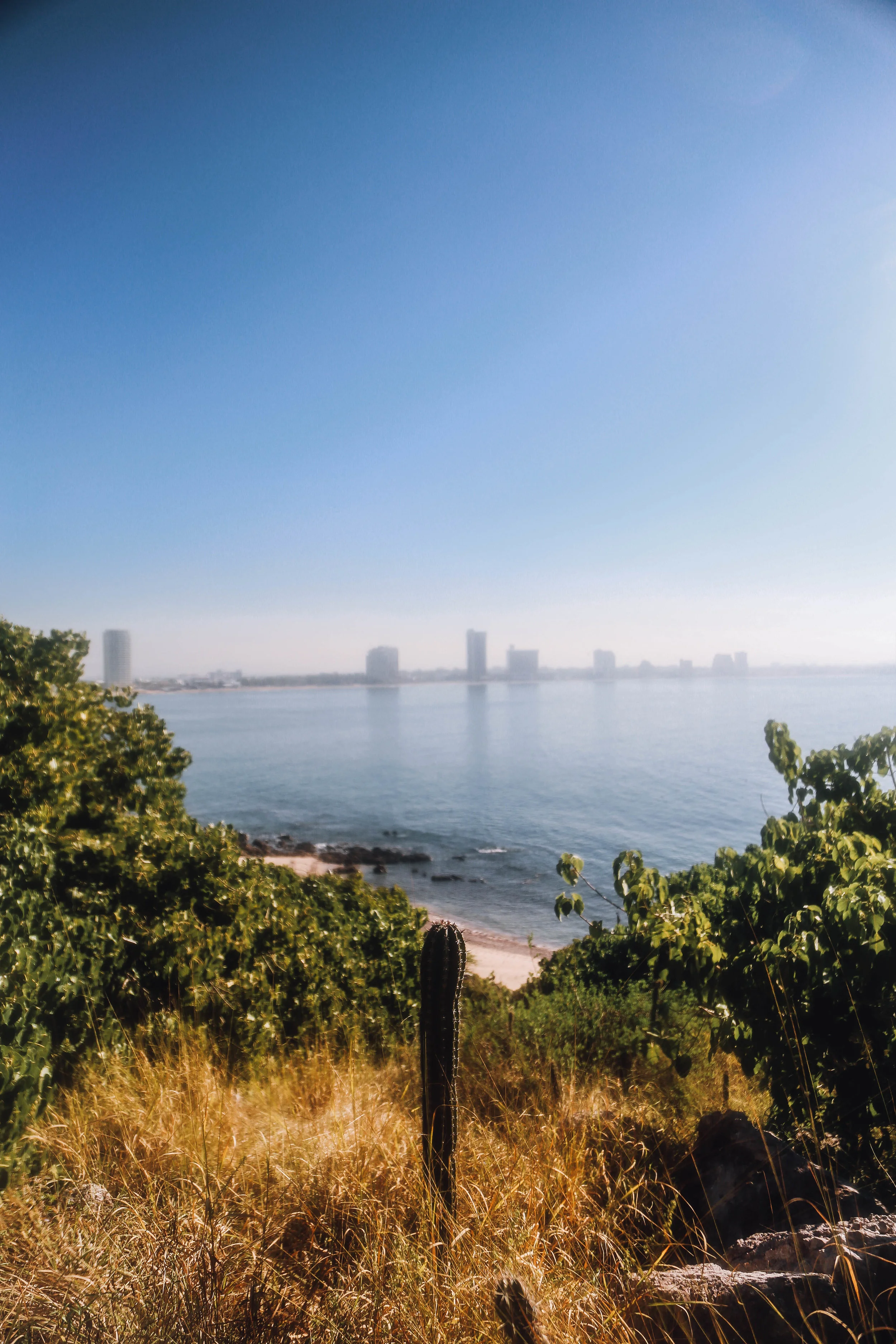 Bird_Island_Mazatlan.jpg