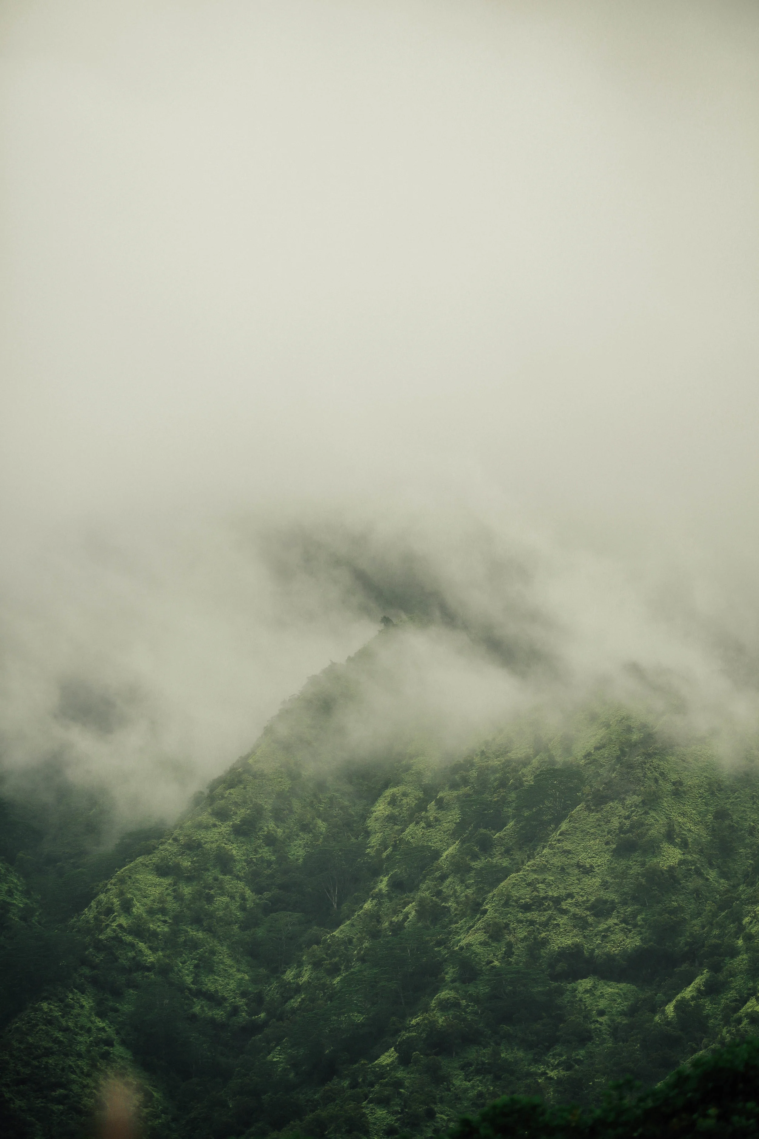 greentrail-3.jpg