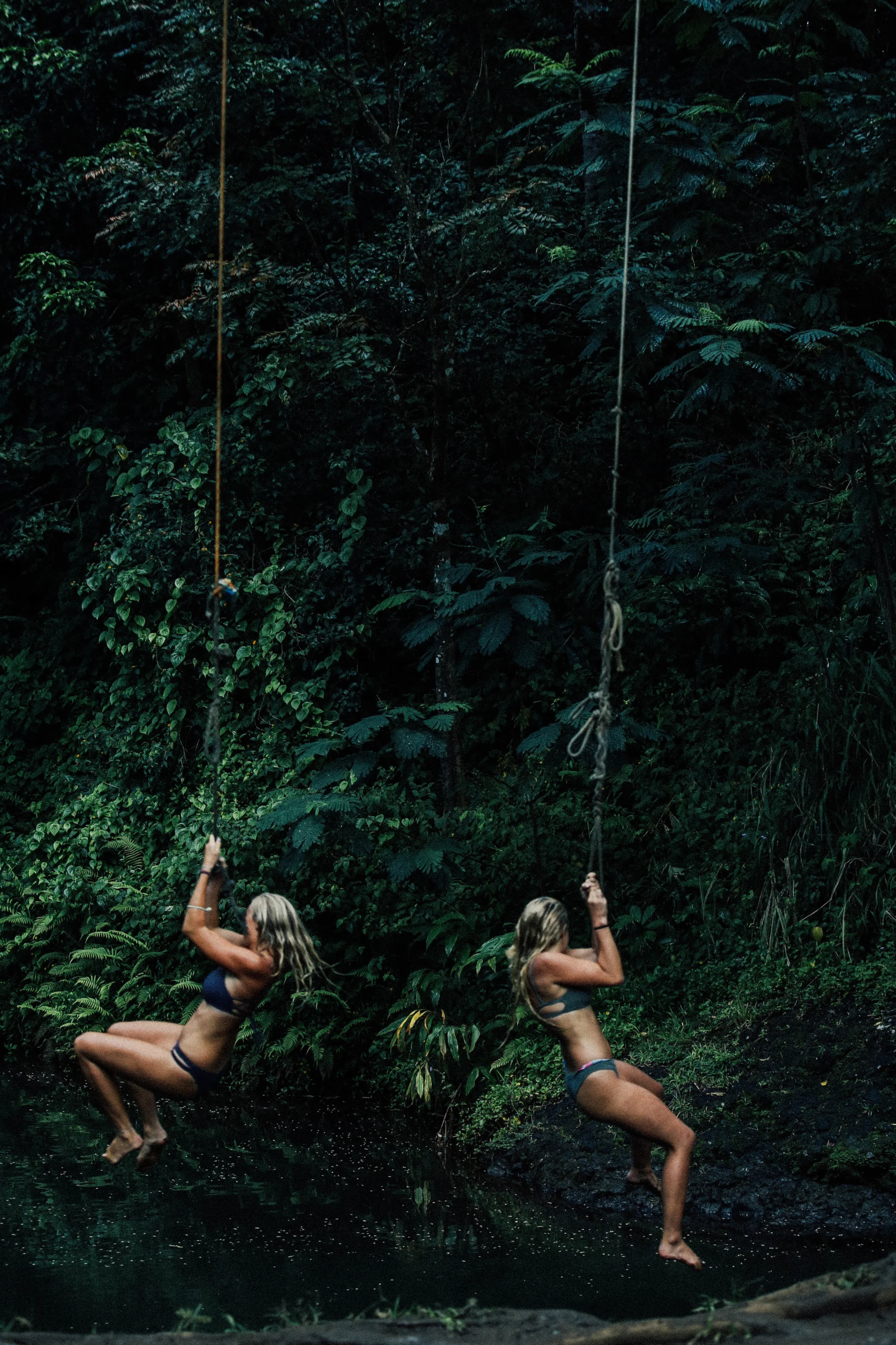 kapaa rope swing-21.jpg