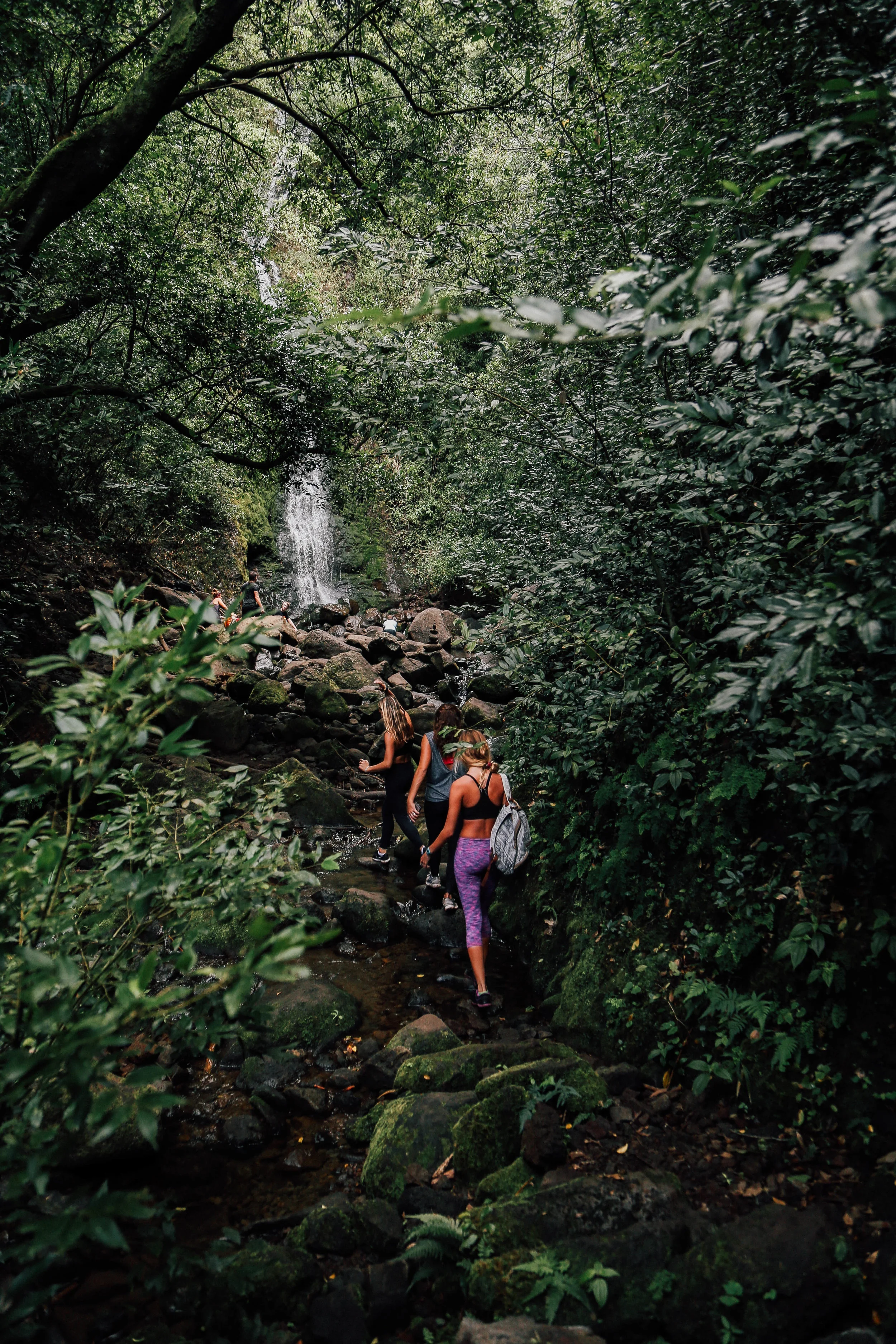 GreenHill_Hike-41.jpg