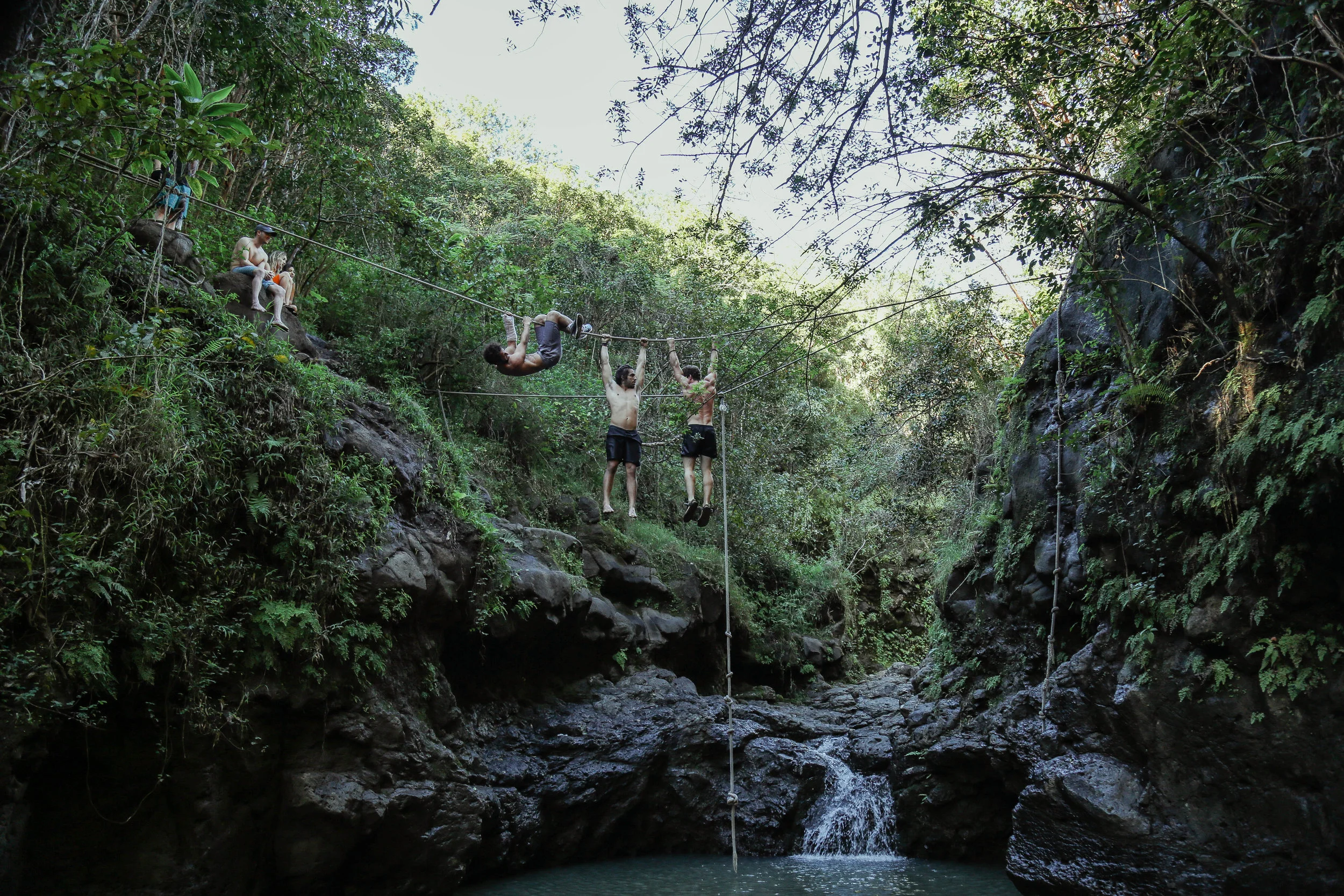 waimanofalls-52.jpg