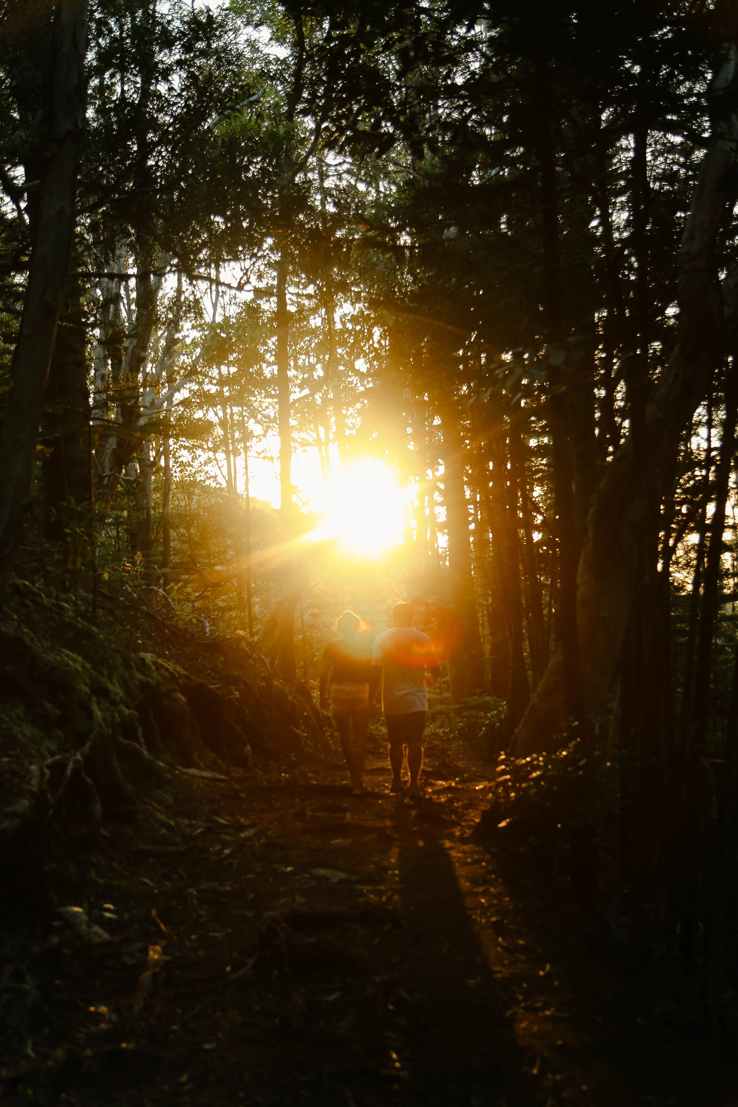 AieaLoopTrail-51.jpg