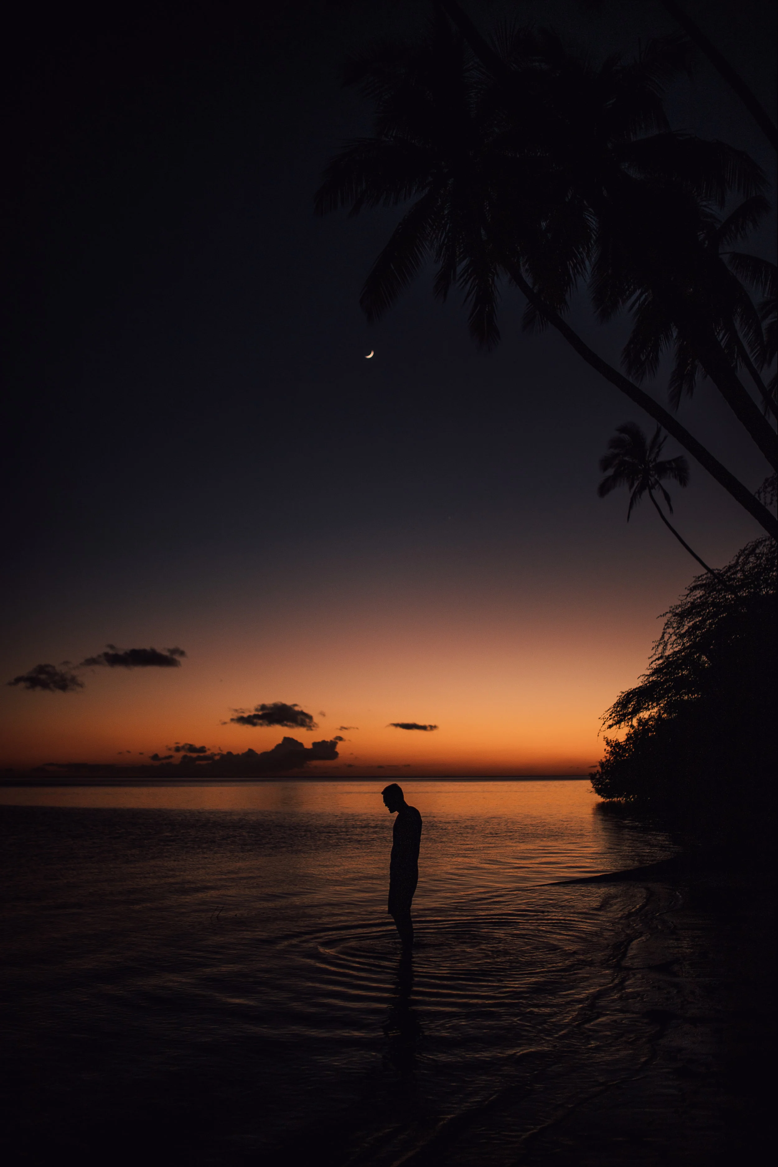 hammock-20.jpg