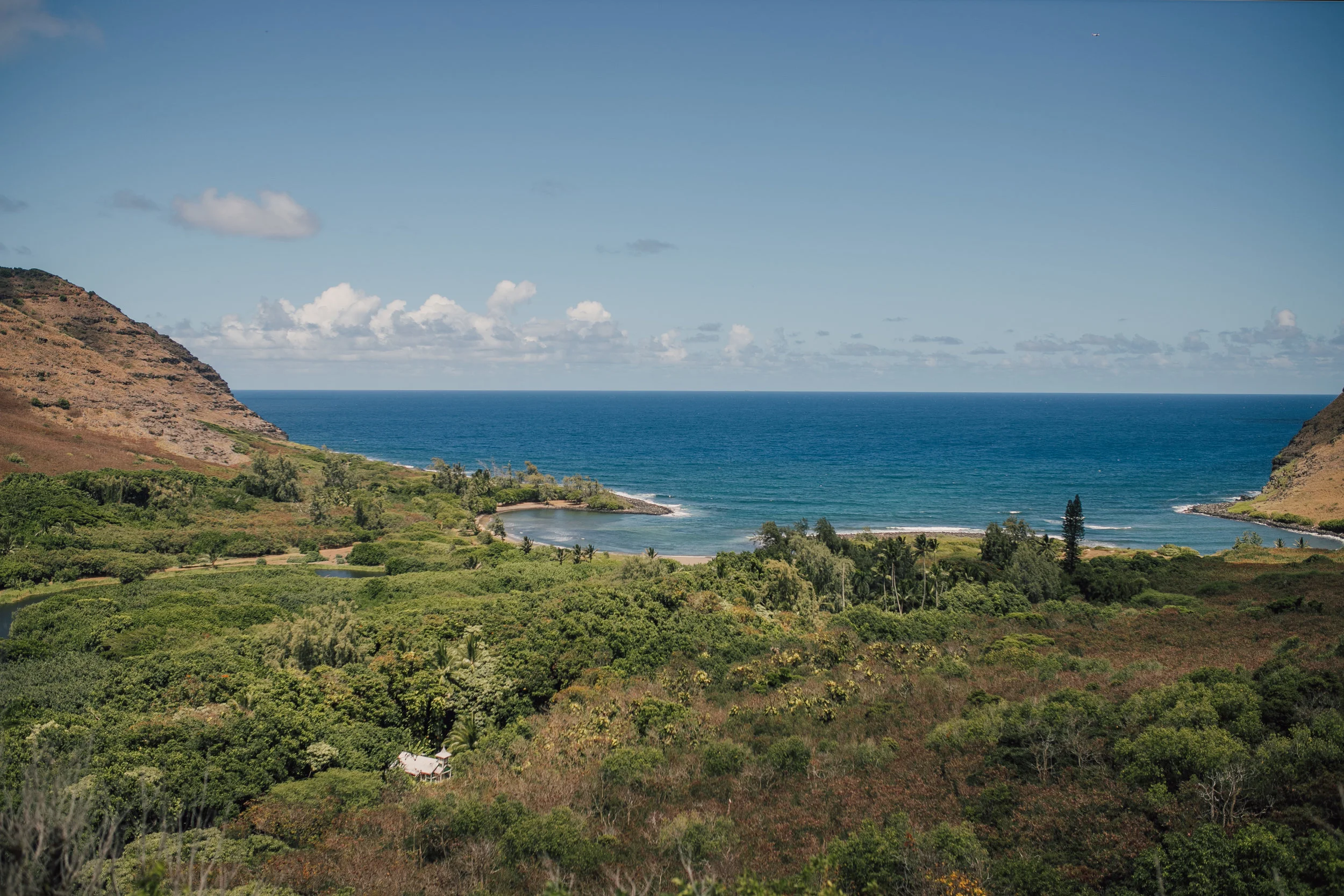 halawa-45.jpg