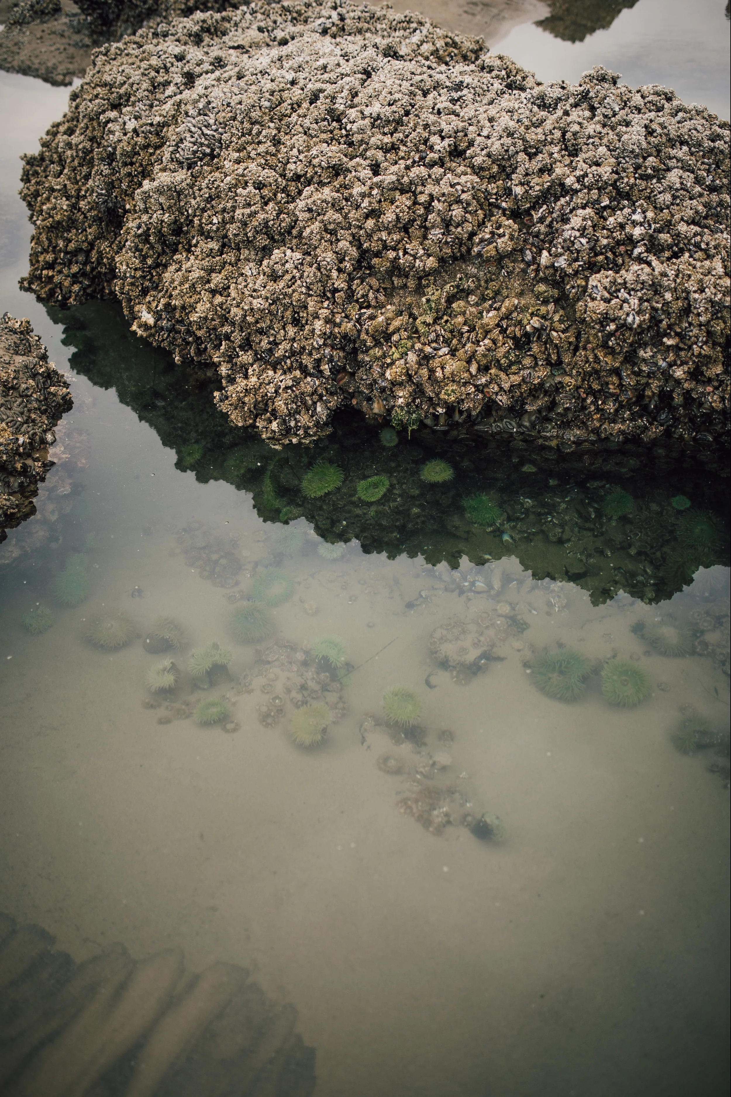 cannonbeach-11.jpg