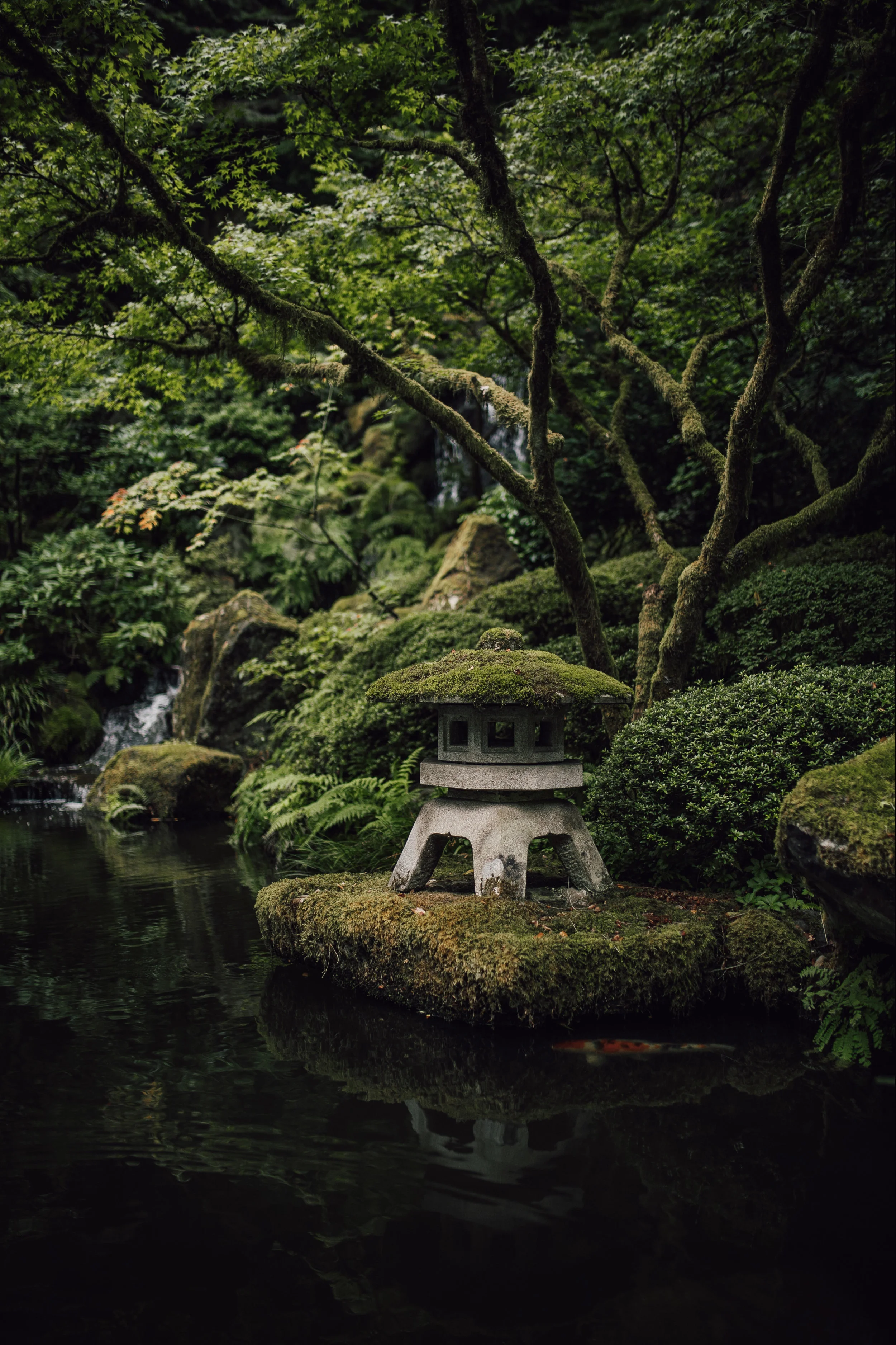 JapeneseGarden-19.jpg
