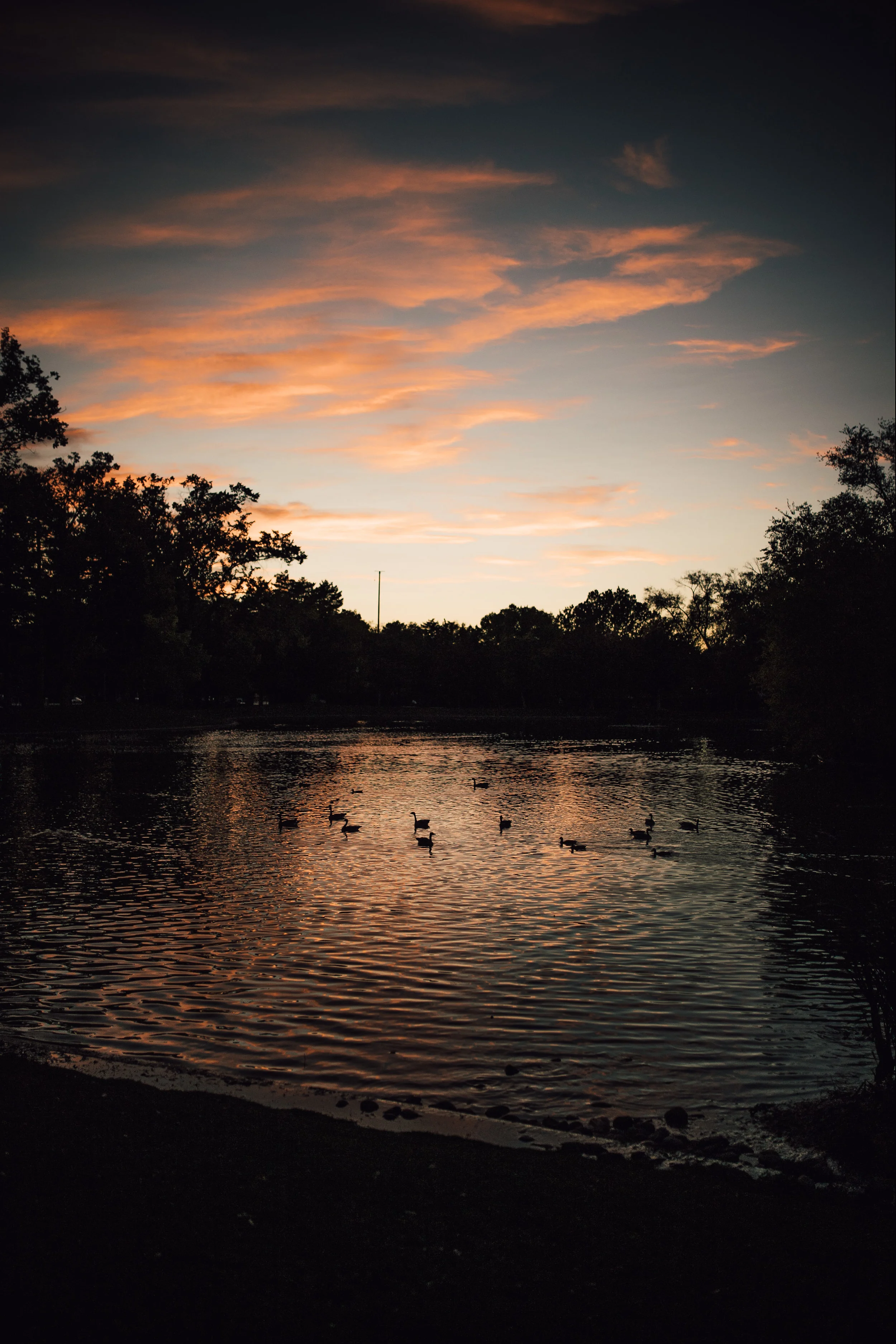 libertypark-9.jpg