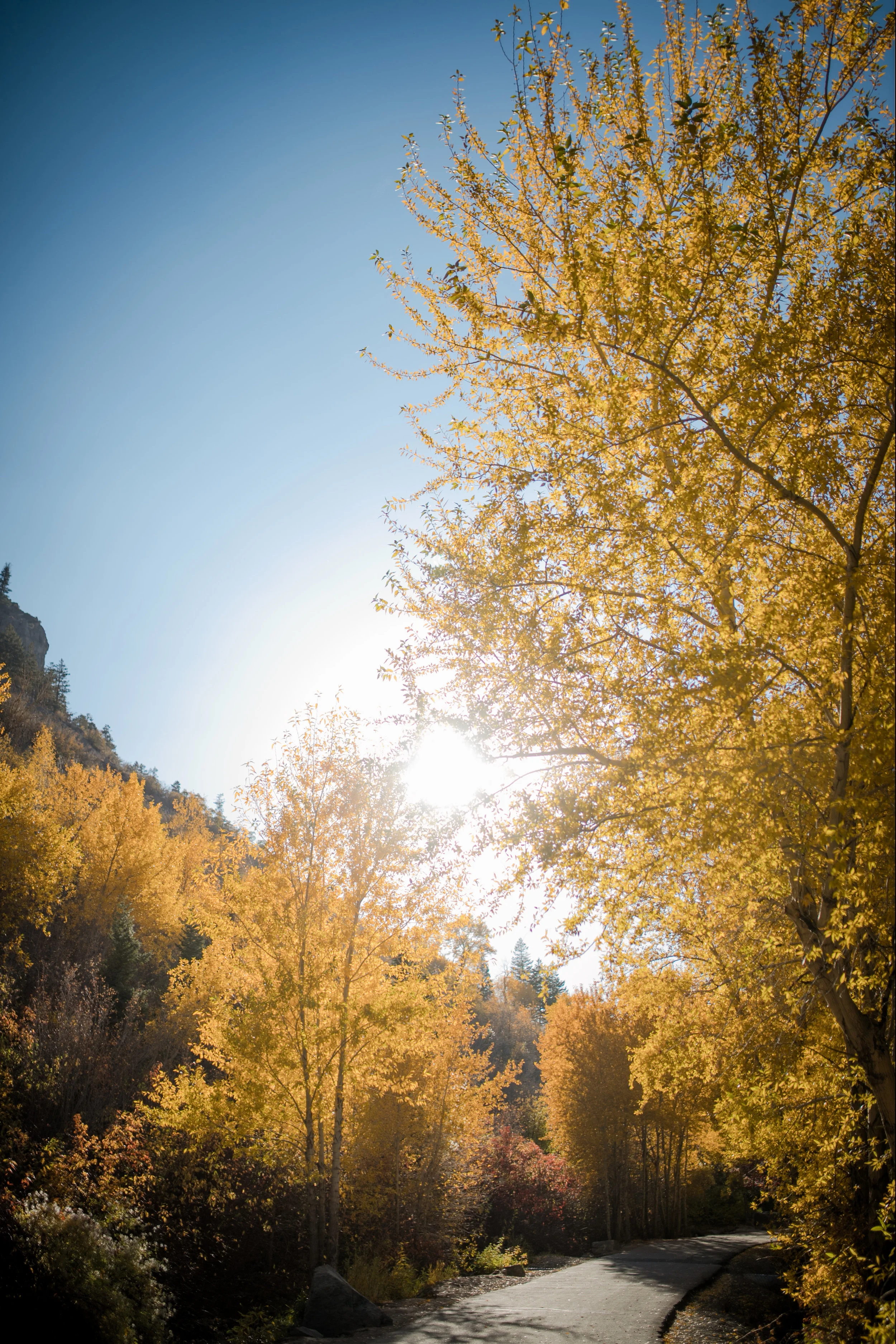 orem-7.jpg